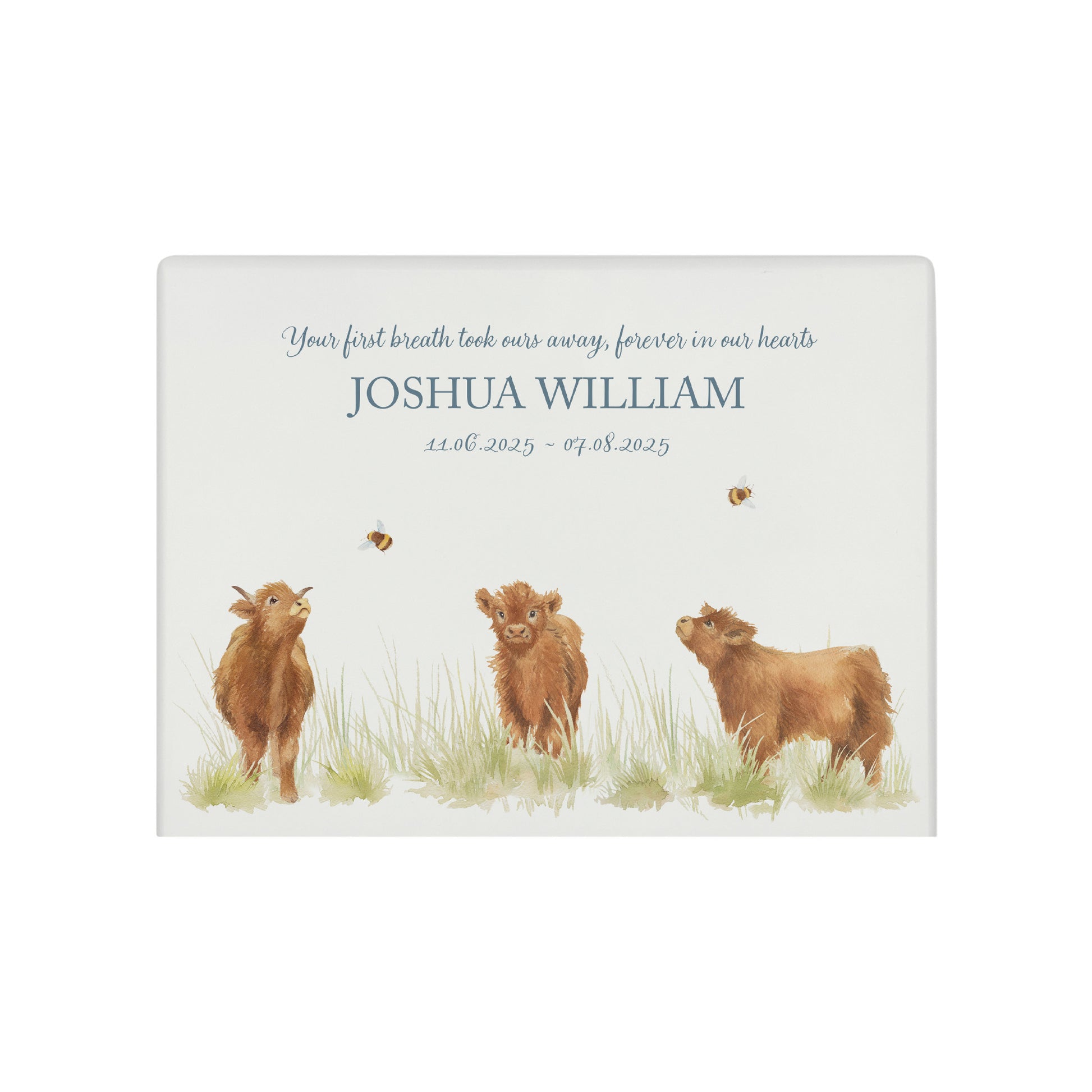 Luxury solid wooden white painted with Baby Highland Cow , a beautiful watercolour illustration our urns and Caskets for displaying or burying ashes. Customisable and can be personalised. Perfect funeral memory keepsake urn, for storing ashes for humans and pets. Coping with baby loss. 