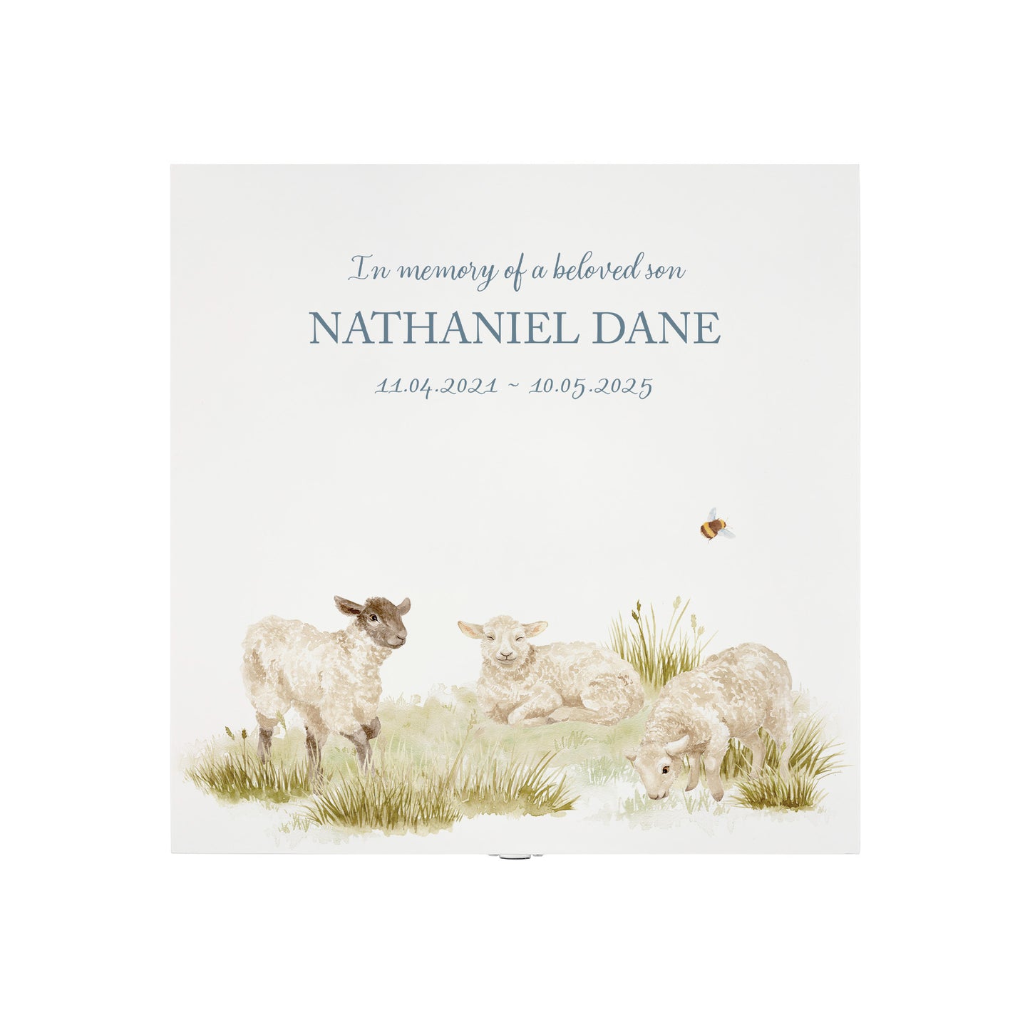 White Square Wooden box with a decorative lid featuring illustrations Baby Lamb Perfect funeral memory keepsake box, for storing ashes, order of service, flowers and coping with baby loss capturing your loved ones things in one place 