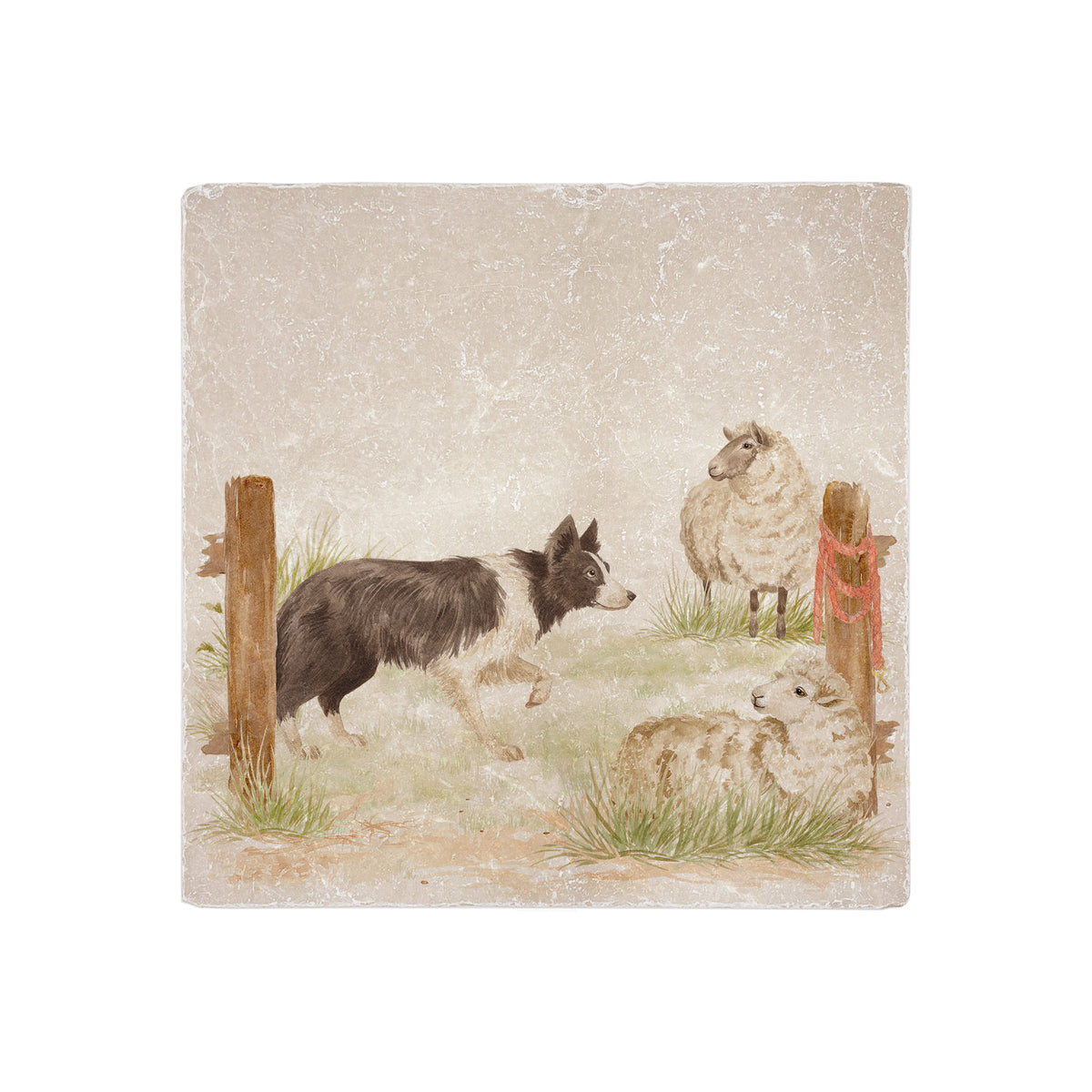 A large square decorative cream marble coaster featuring a vintage-style illustration of a black and white border collie standing guard over a sheep beside a wooden post.