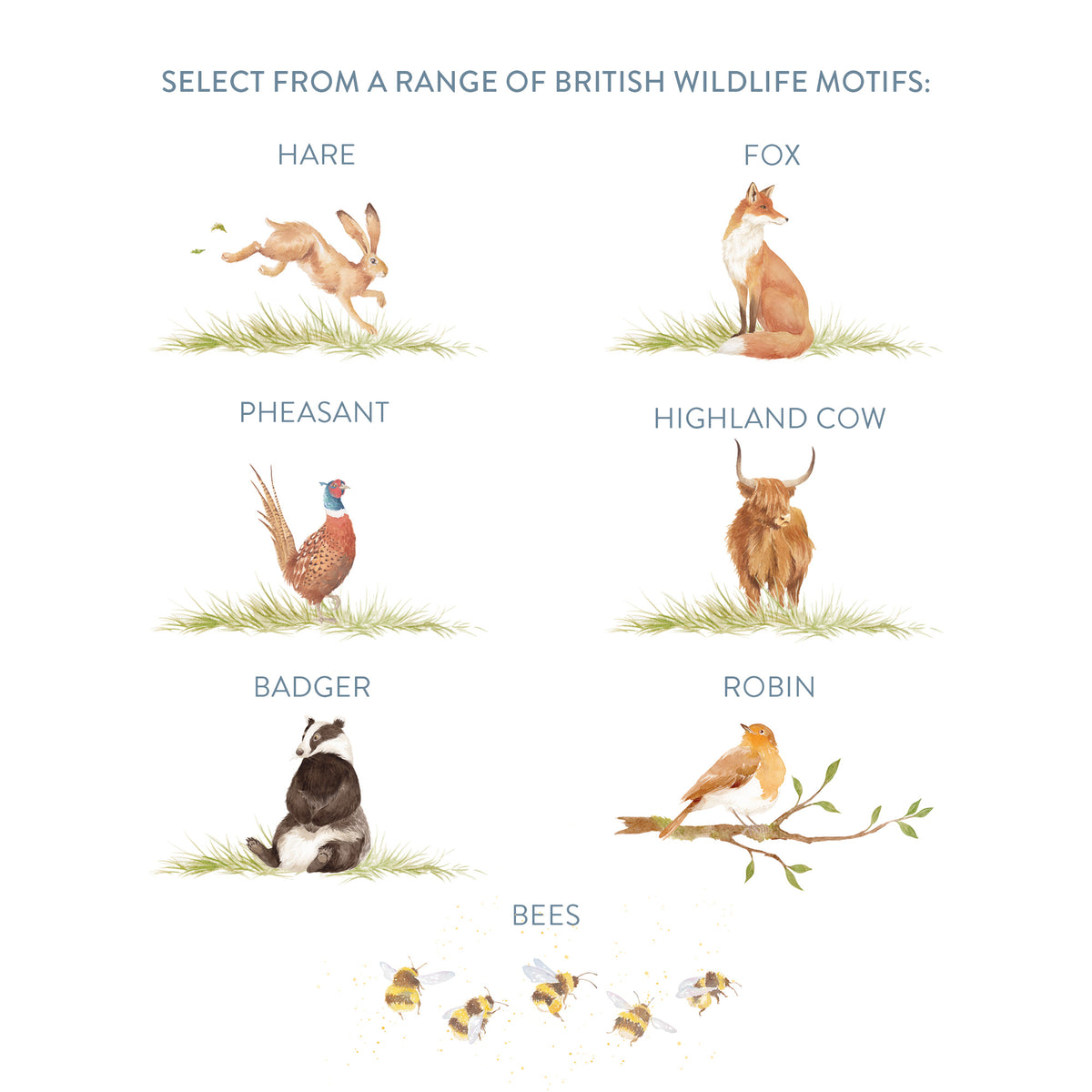 motif choices 