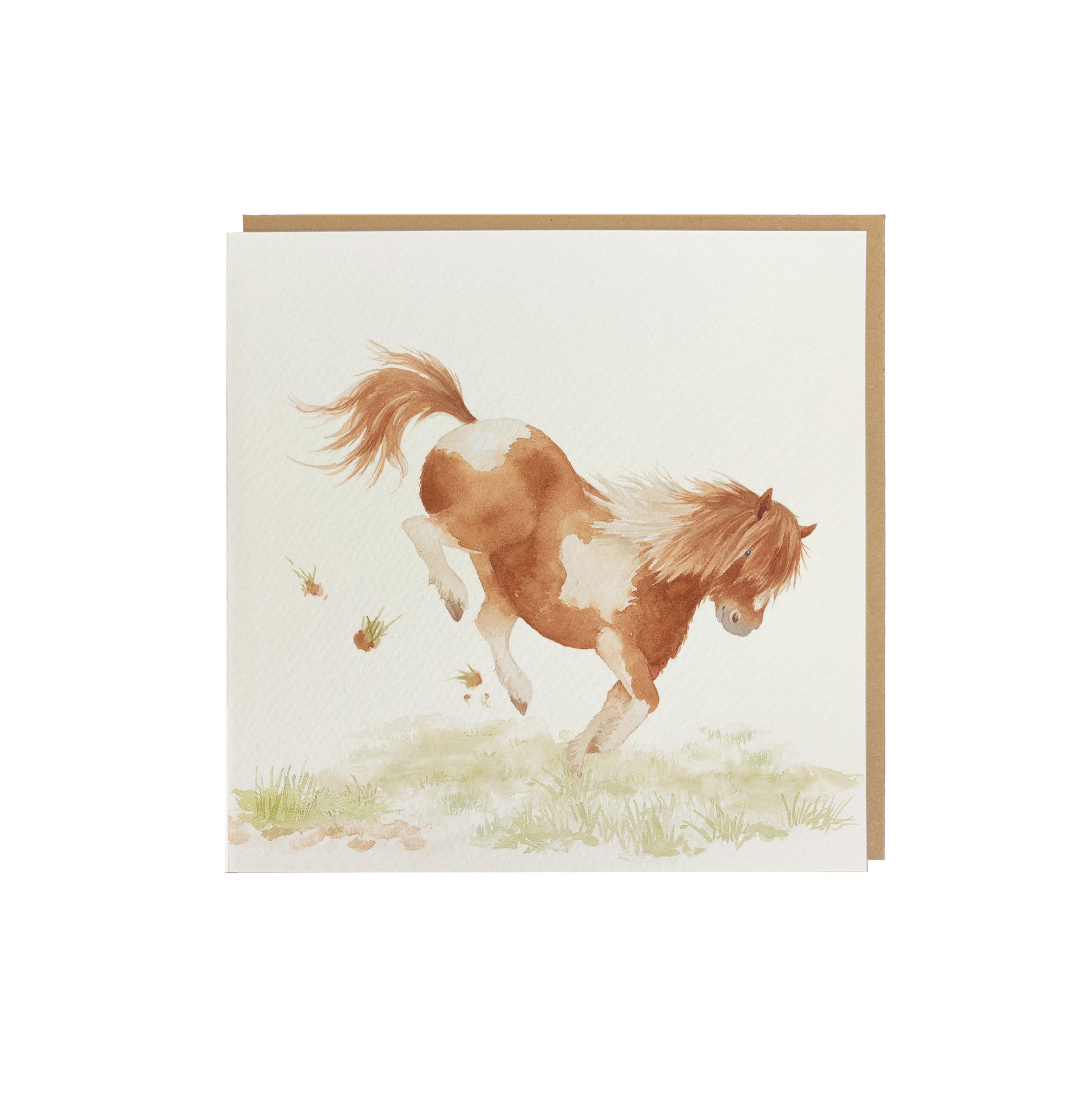 A square greetings card with a watercolour design of a bucking Shetland pony in a field. The card is supplied with a brown kraft envelope.