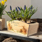 An arched wooden planter box full of spring bulbs. The planter box shows a watercolour design of cute bunny rabbits in plant pots, eating the flowers. The planter can be personalised with names and a selection of phrases, making it an ideal gift for any occasion.