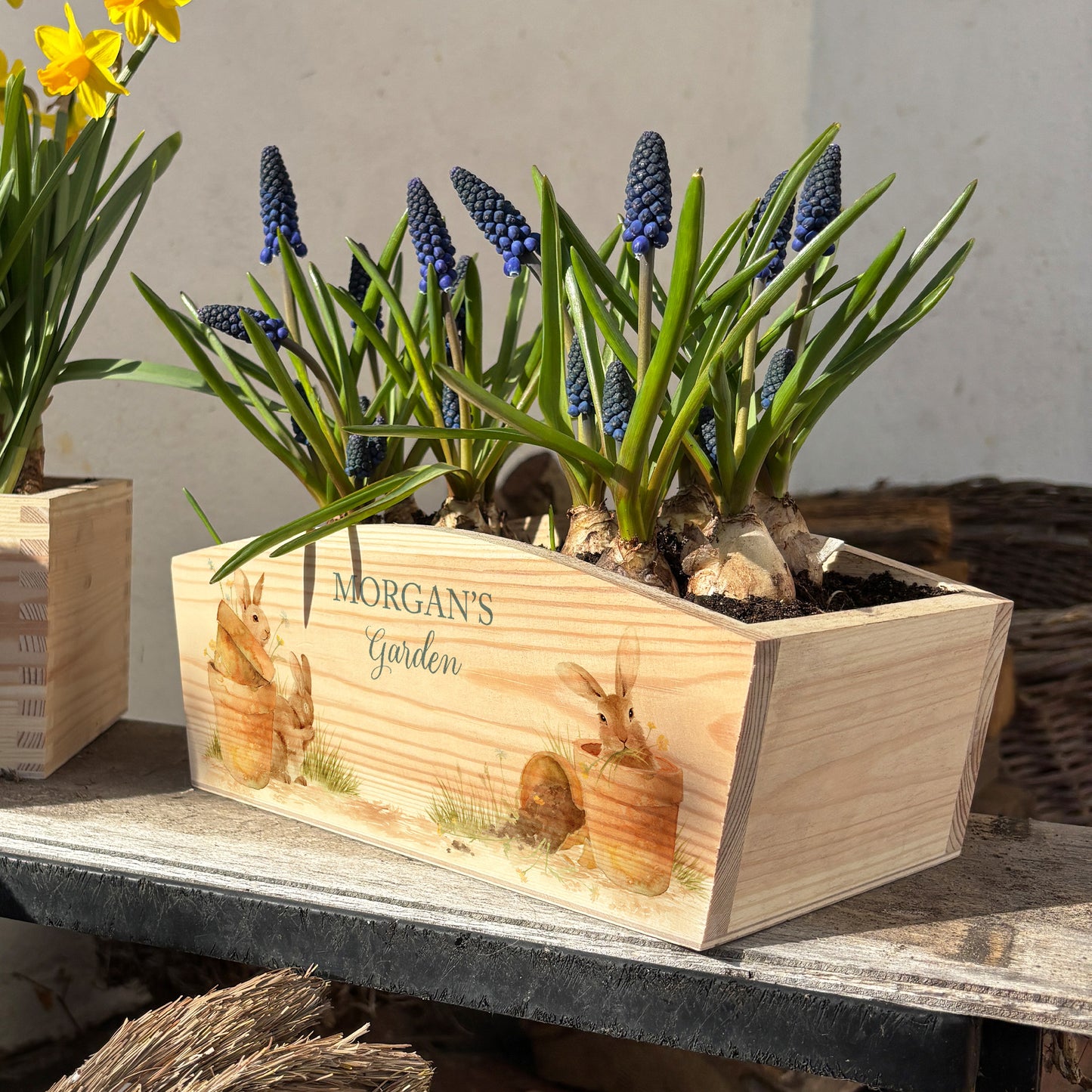 An arched wooden planter box full of spring bulbs. The planter box shows a watercolour design of cute bunny rabbits in plant pots, eating the flowers. The planter can be personalised with names and a selection of phrases, making it an ideal gift for any occasion.