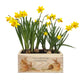 A rectangle wooden planter box full of daffodils, with a watercolour design of cute bunny rabbits in plant pots. The planter can be personalised with a name and a selection of custom phrases. Ideal keepsake gifts for parents, grandparents and avid gardeners.