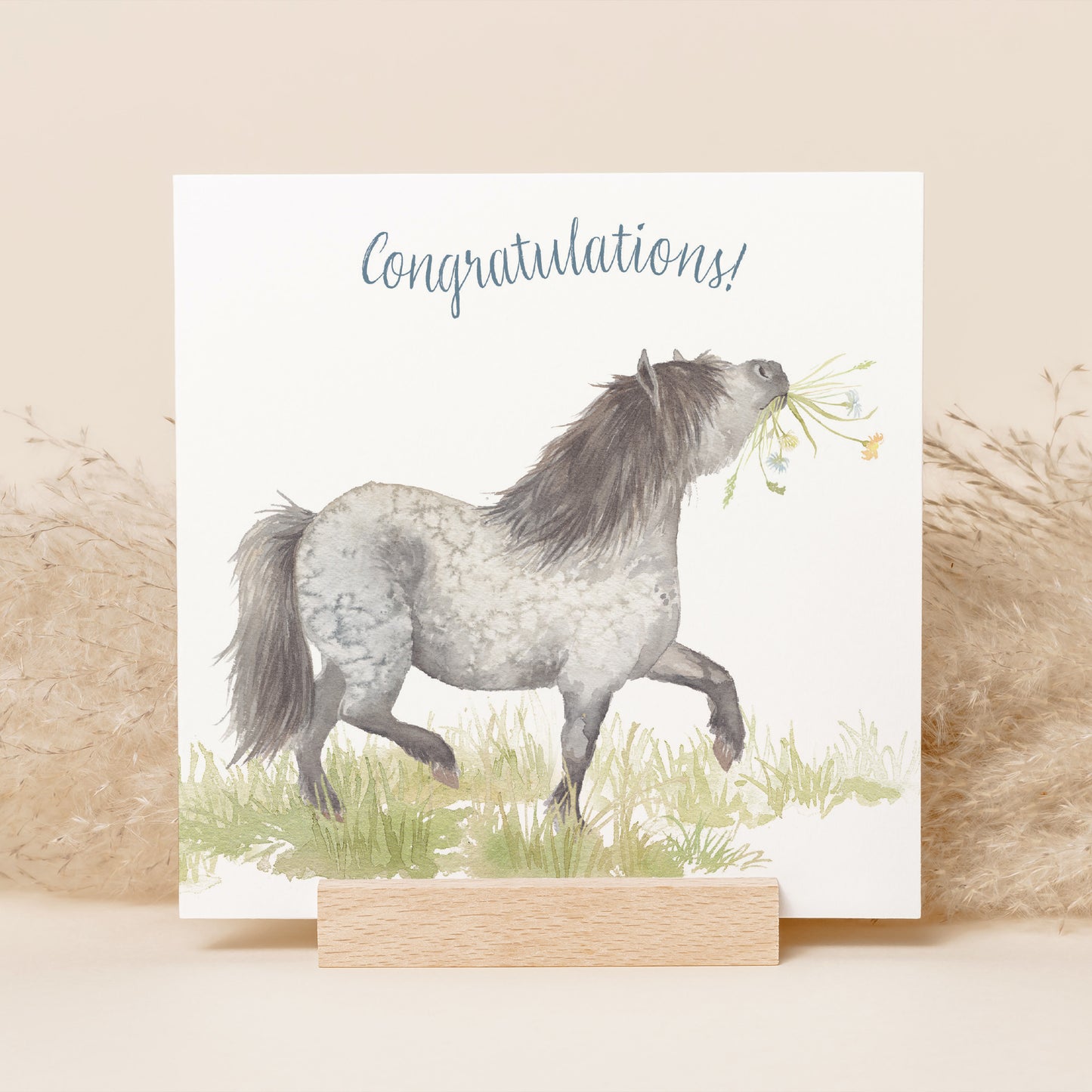 Congratulations Shetland Greetings Card