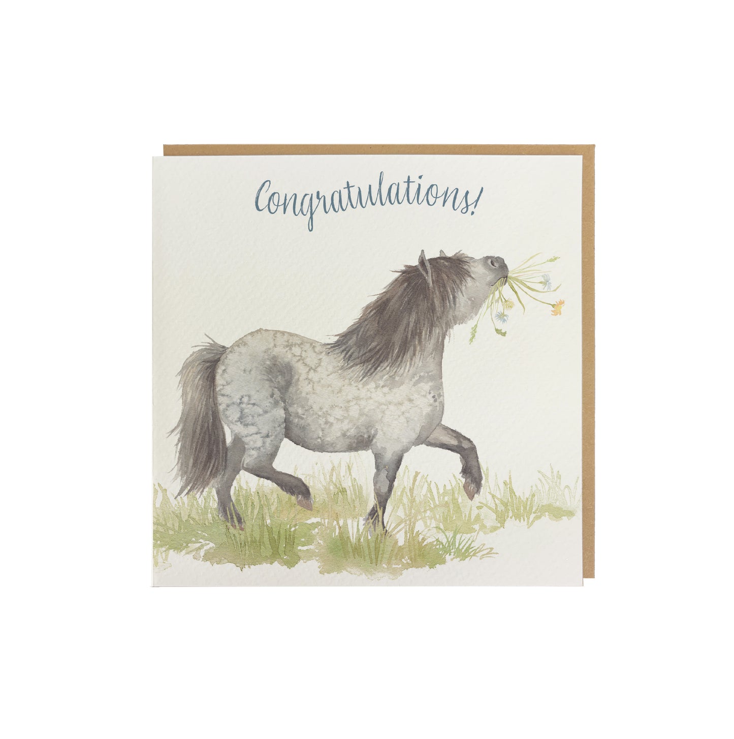 A greetings card reading Congratulations! in dark blue text above a Shetland pony with a mouthful of flowers in a watercolour style. The card has a recyclable brown kraft envelope behind it.