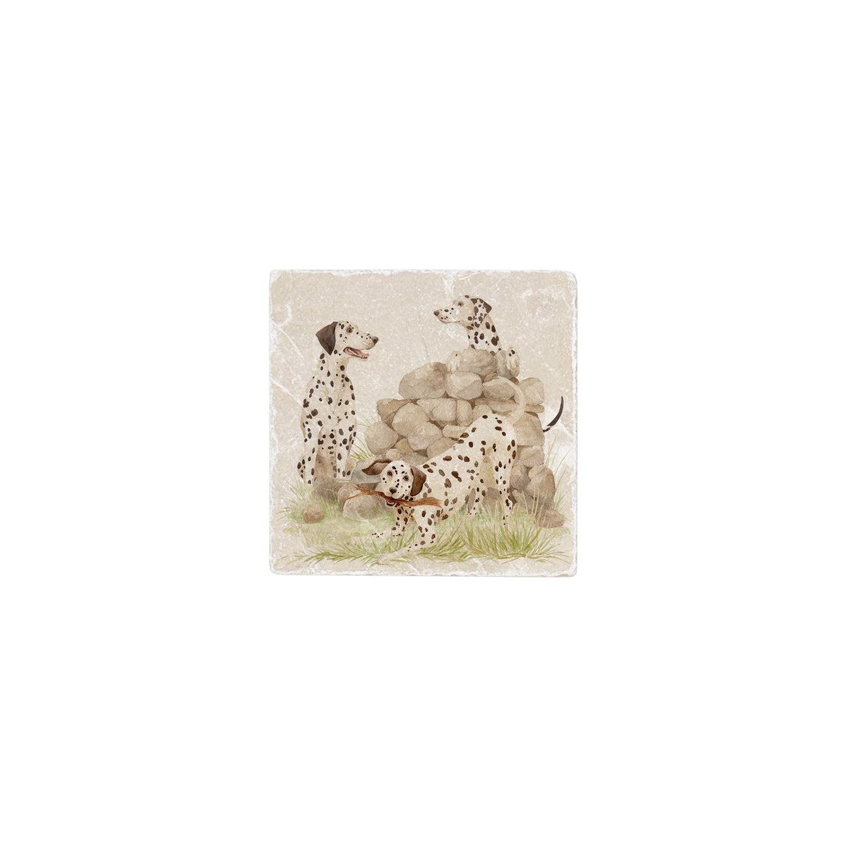 A square decorative marble tile featuring an illustration of three Dalmatian dogs around a stone wall and small patch of grass, shown on a plain white background.
