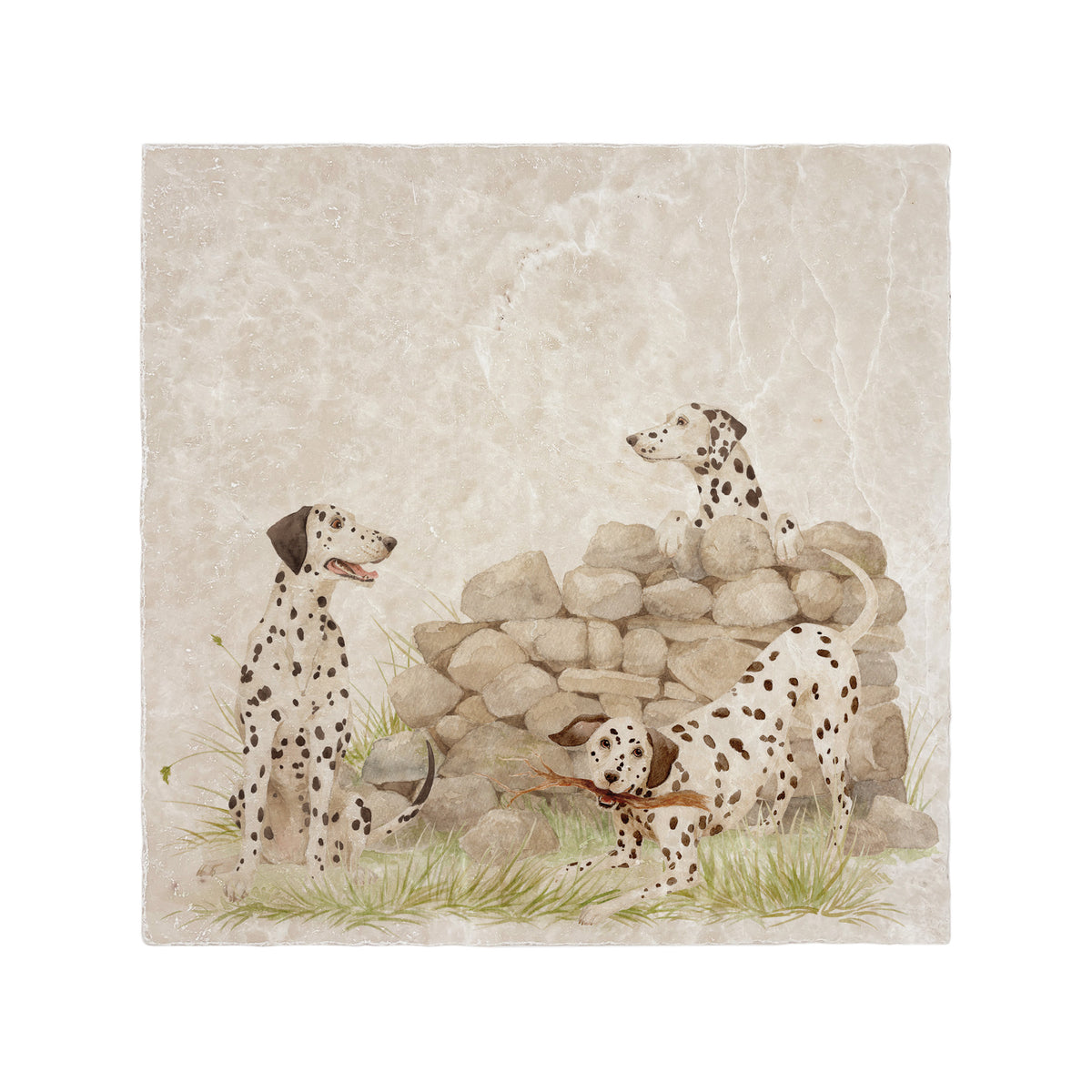 A medium square decorative marble tile featuring an illustration of three Dalmatian dogs around a stone wall and small patch of grass, shown on a plain white background.