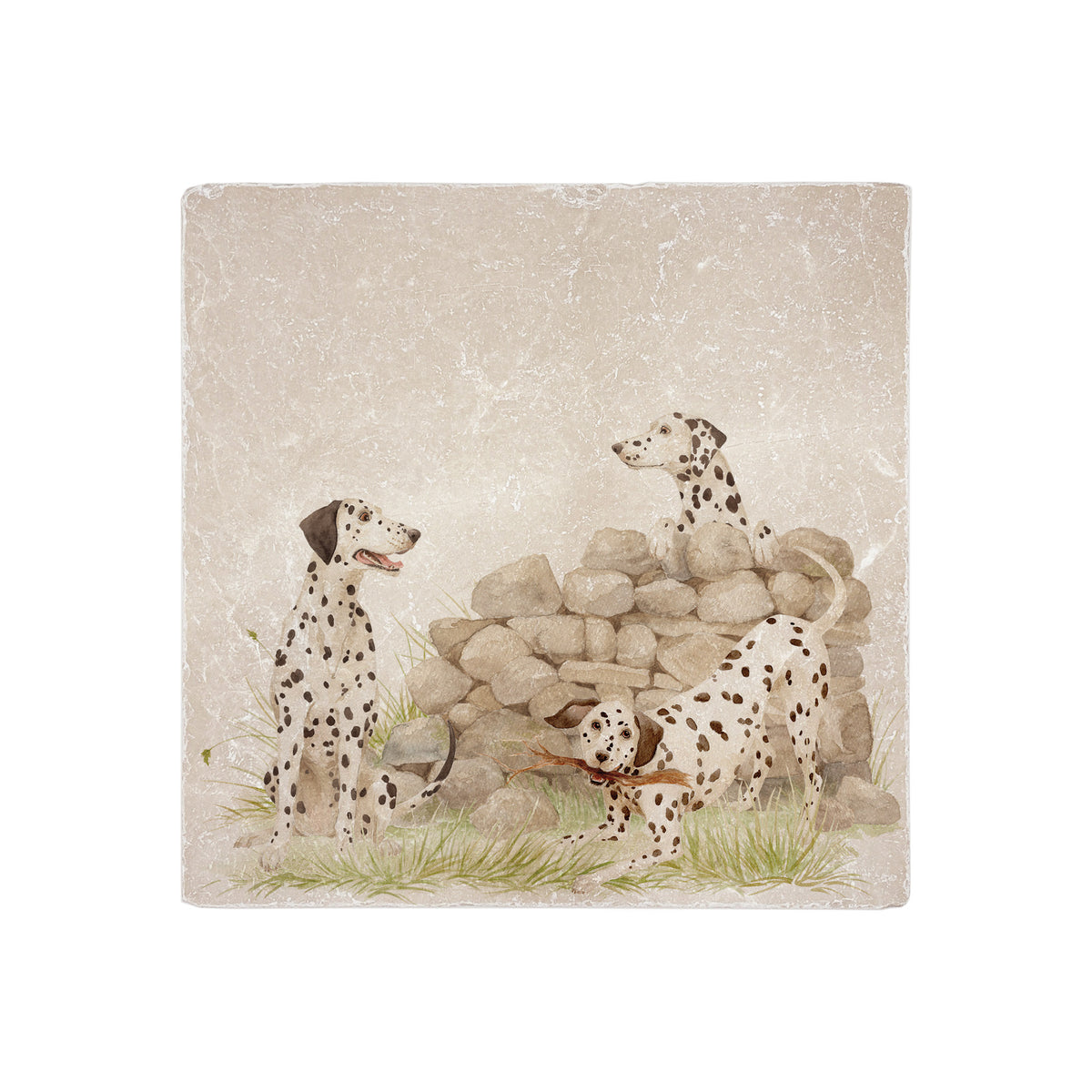A large square decorative marble tile featuring an illustration of three Dalmatian dogs around a stone wall and small patch of grass, shown on a plain white background.