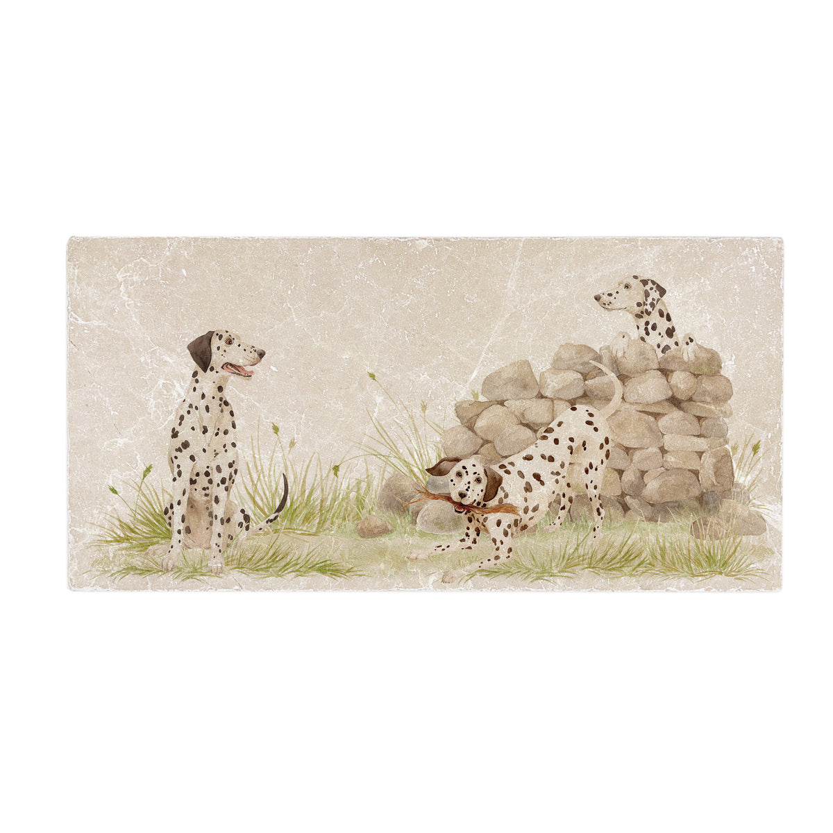 A large rectangular decorative marble tile featuring an illustration of three Dalmatian dogs around a stone wall and small patch of grass, shown on a plain white background.