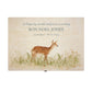 Wooden box with a lid featuring an illustration of a Doe on a wooden background Perfect funeral memory keepsake box, for storing ashes, order of service, flowers, pictures. 