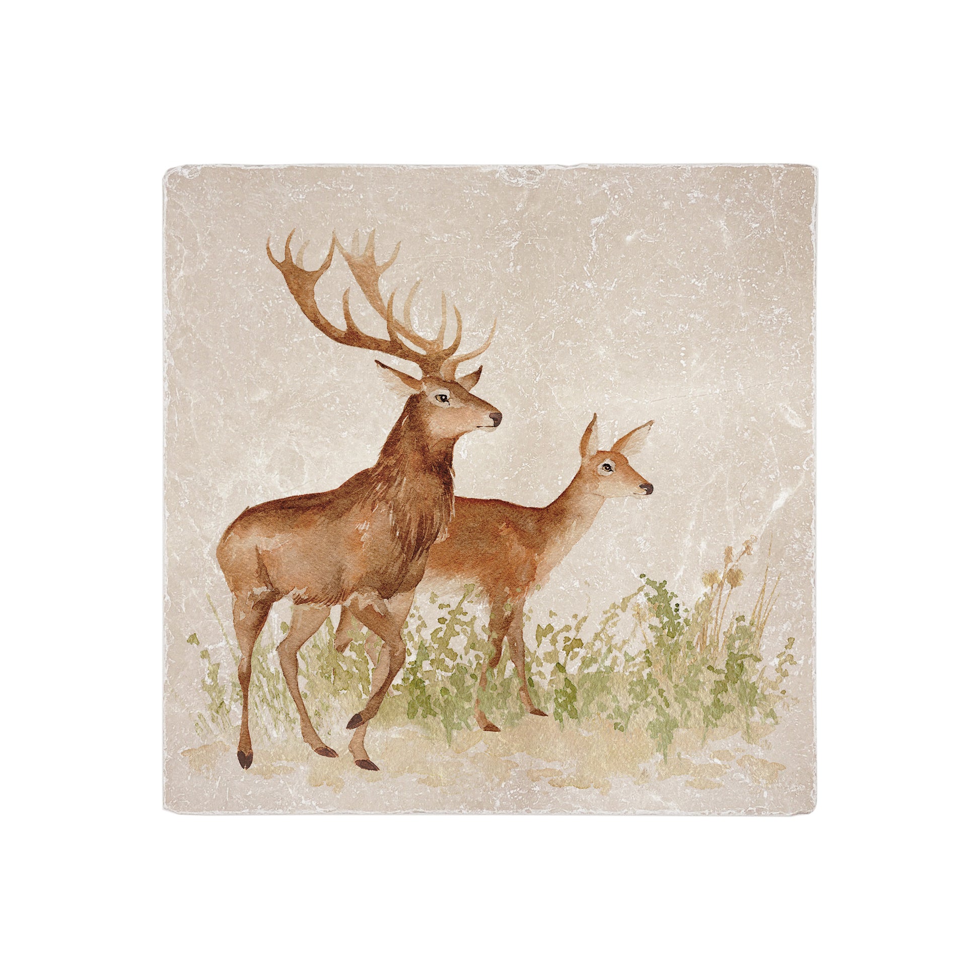 A medium square cream marble cheese board, featuring a watercolour design of a red deer stag and hind.