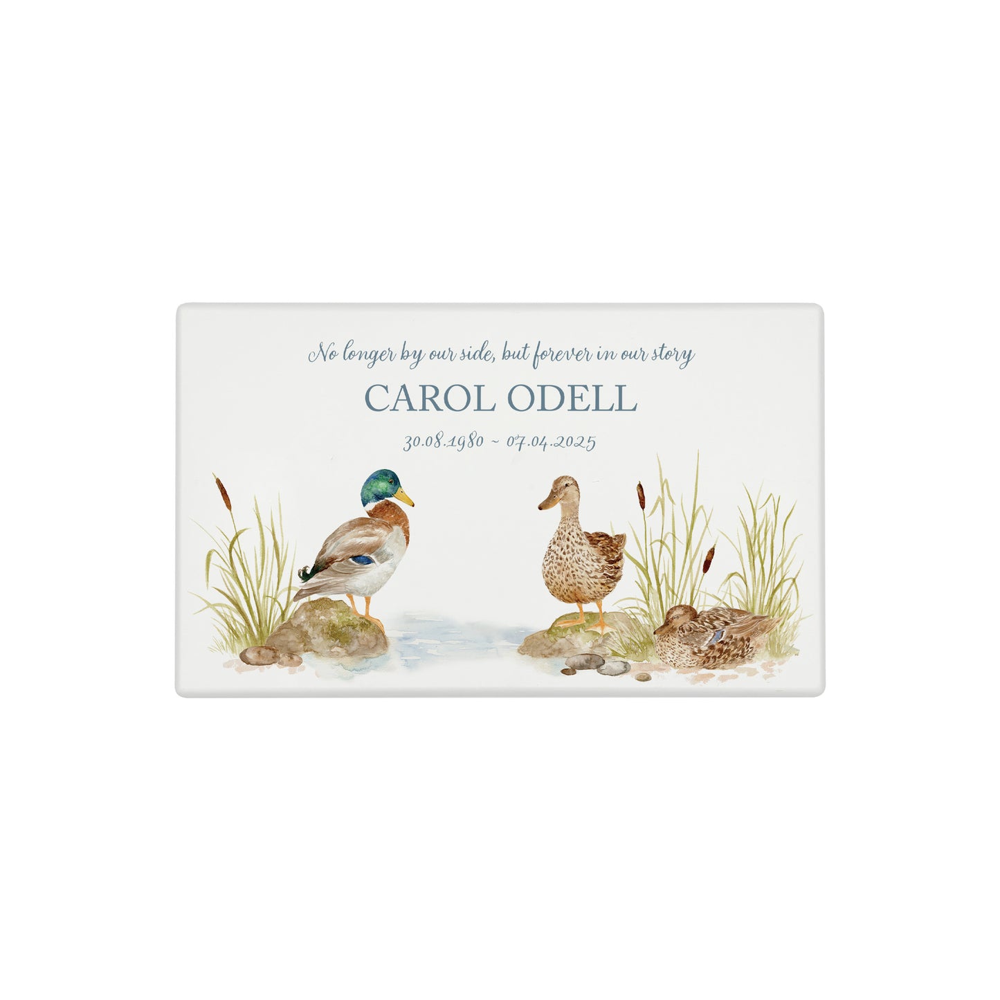 Luxury solid wooden white painted Urn ,  Featuring Ducks on a bank. A watercolour illustration, our urns and Caskets for displaying or burying ashes. Customisable and can be personalised. Perfect funeral memory keepsake urn, for storing ashes for humans and pets. 