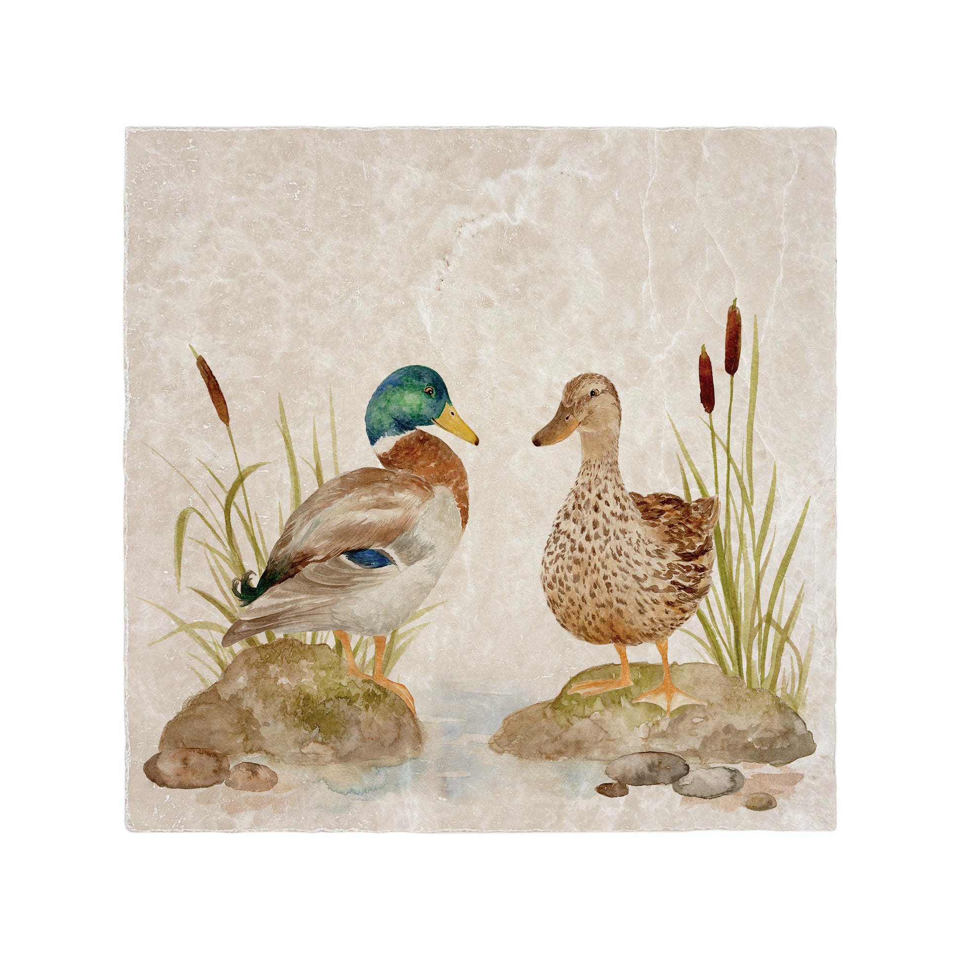 A handmade 30.5x30.5cm marble splashback tile featuring a watercolour countryside animal design of mallard ducks by a pond.