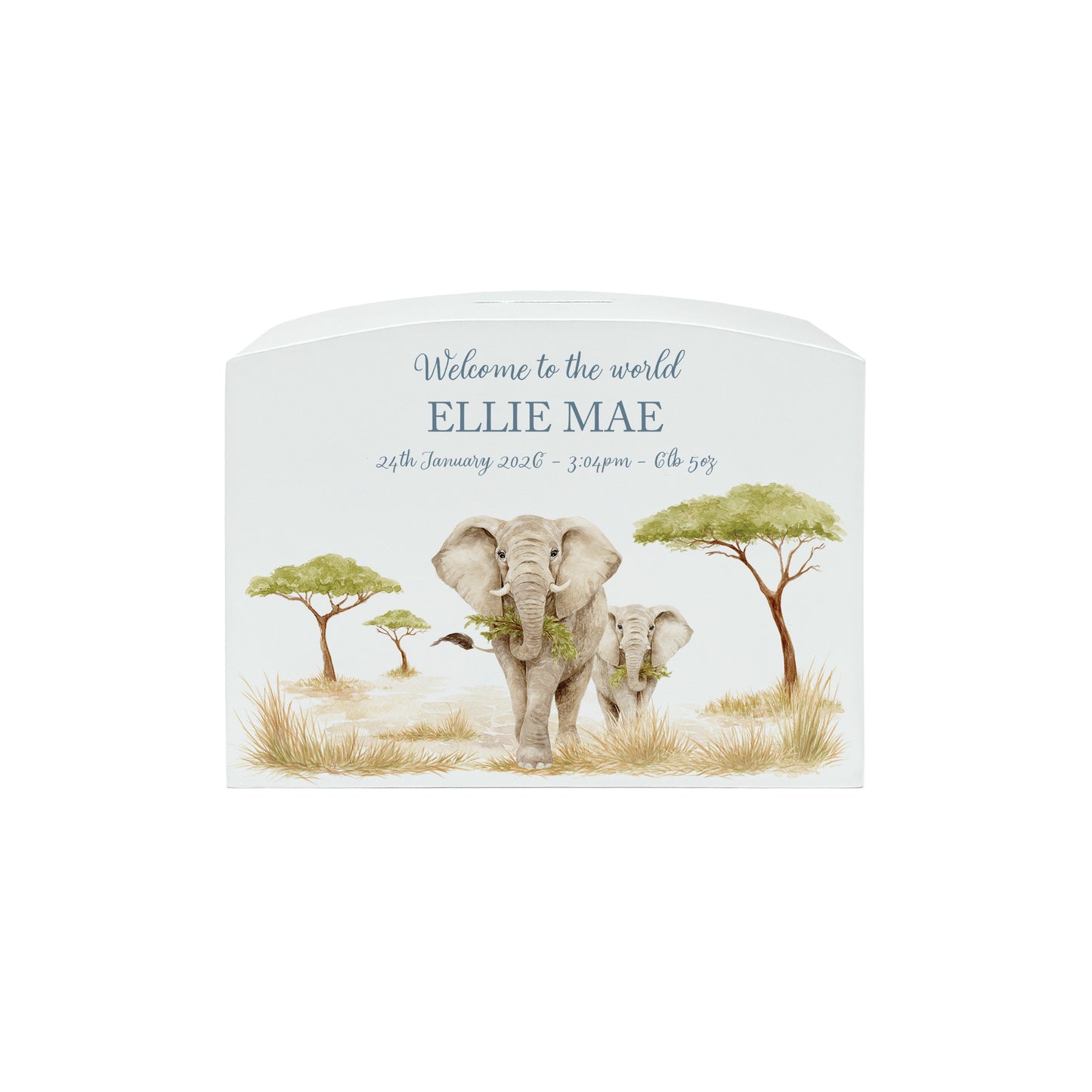 Safari themed babies money box, Featuring mum and baby elephant in a water colour theme. 