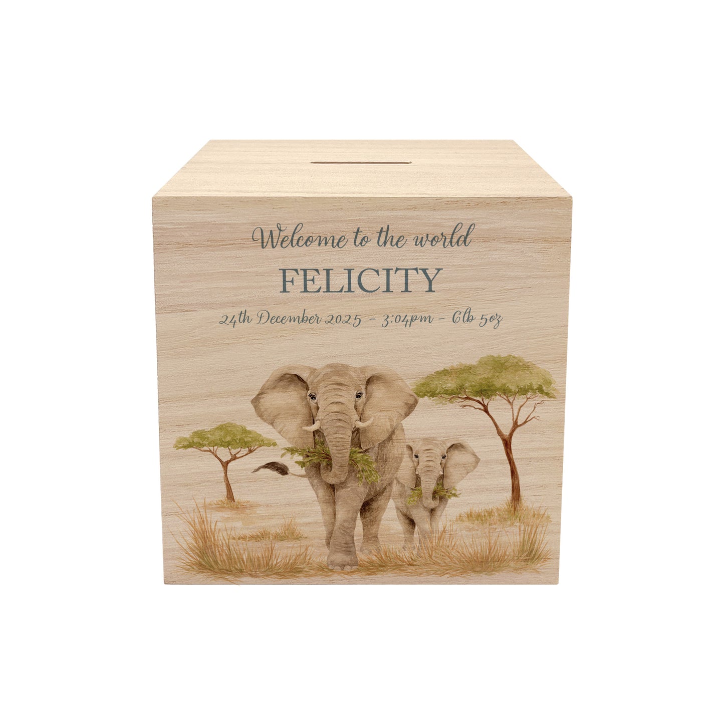 handmade personalised nursery money box with soft watercolour artwork, mummy and baby elephant strolling through the Savanah