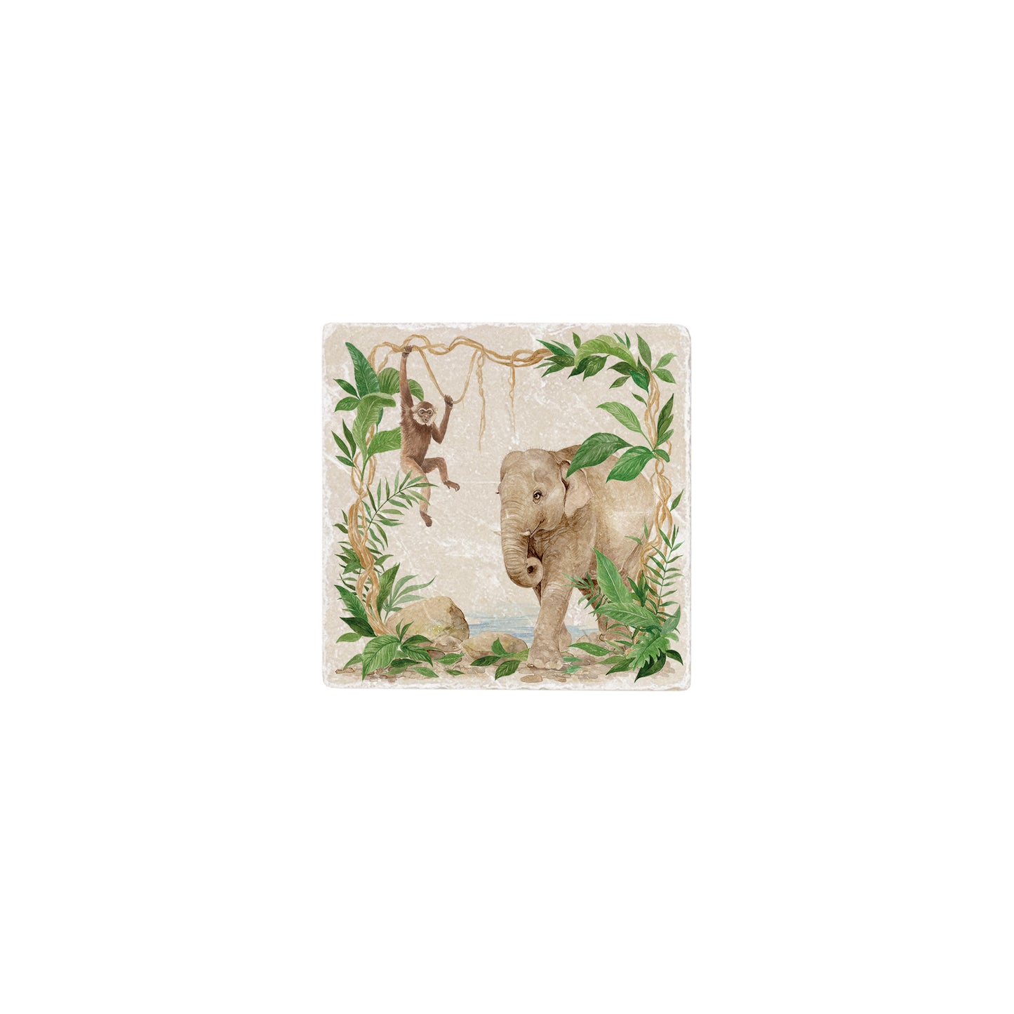 This beautiful Elephant appears through an opening in the rainforest. The Gibbon is showing her the way to the water. Best of friends the two of them make their way for a rest around the waters edge. 