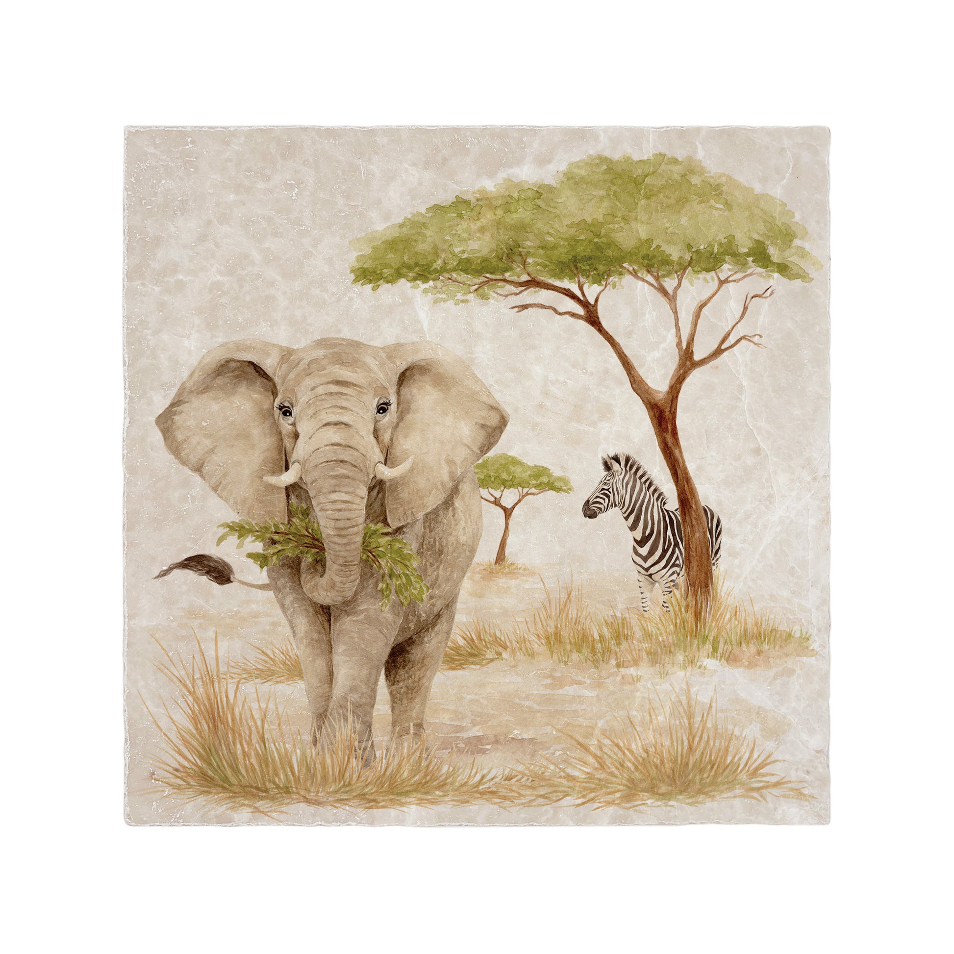 The Savannah Collectors set is perfect for the safari lover, featuring beautiful watercolour designs on our much loved marble platters and coasters. You can find and Elephant, Zebra here on this beautiful marble Large platter