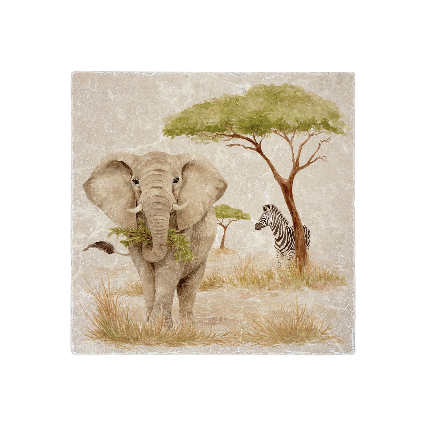 Watercolour Elephant taking a snack whilst the Zebra hides out of sight