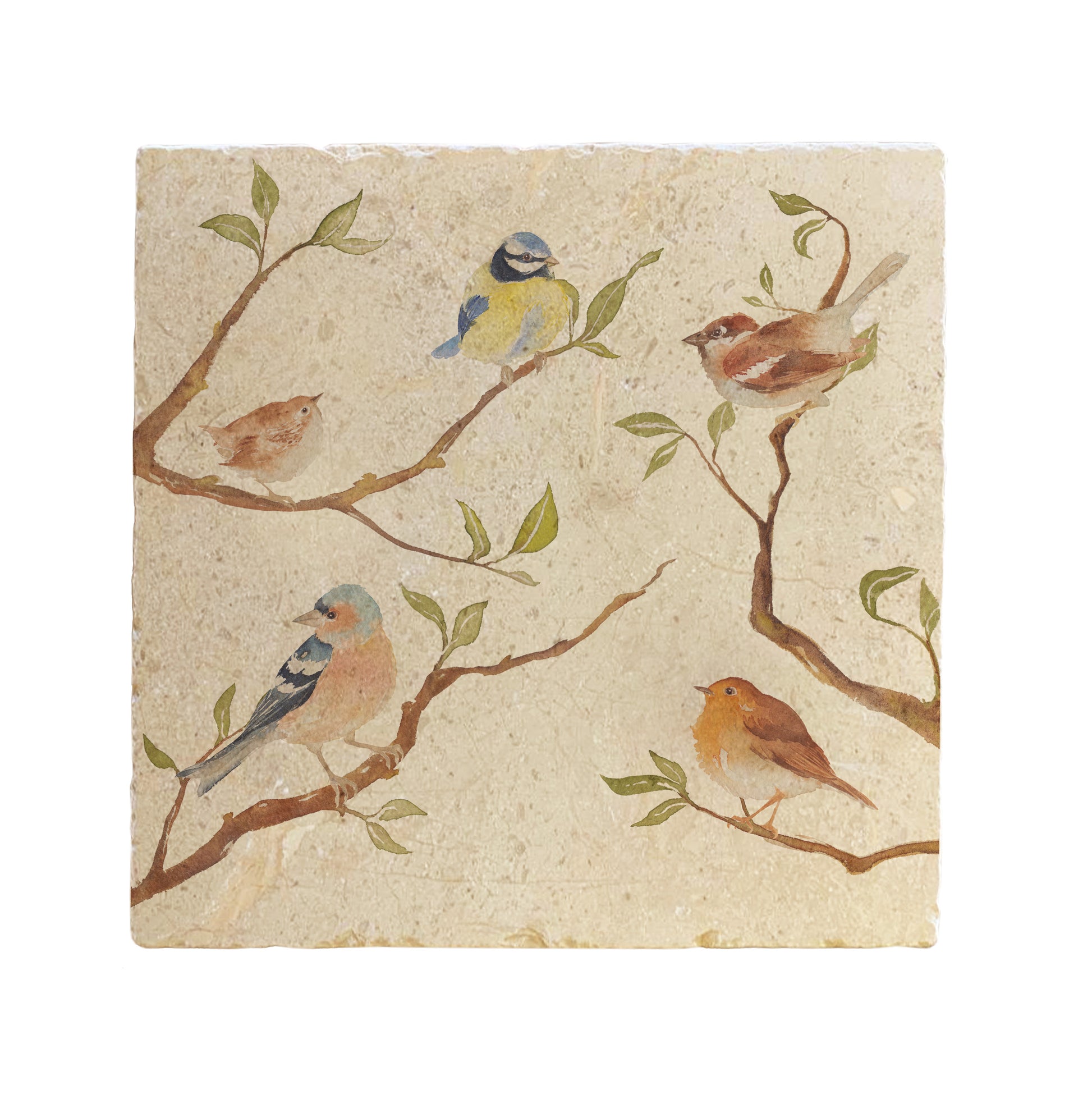 A handmade square cream marble splashback tile featuring a watercolour countryside animal design of British garden birds on branches.