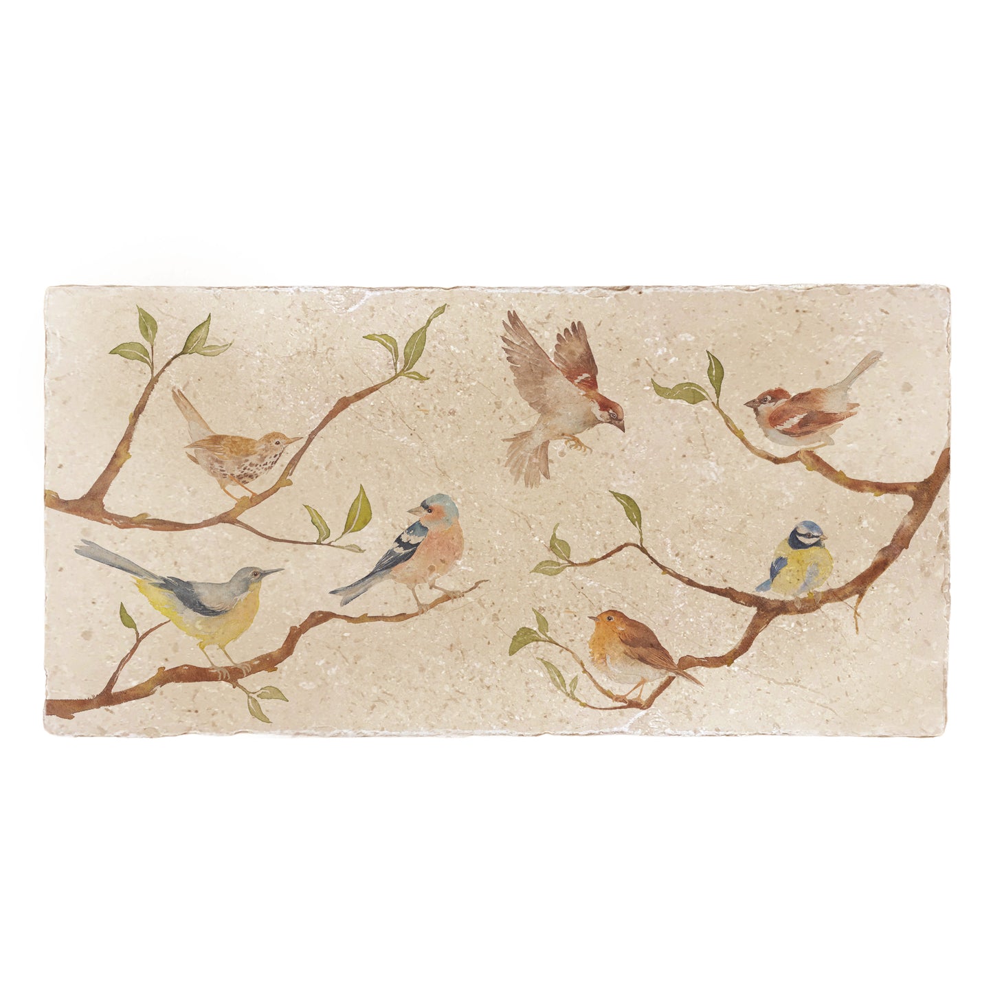 A handmade rectangle cream marble splashback tile featuring a watercolour countryside animal design of British garden birds on branches.