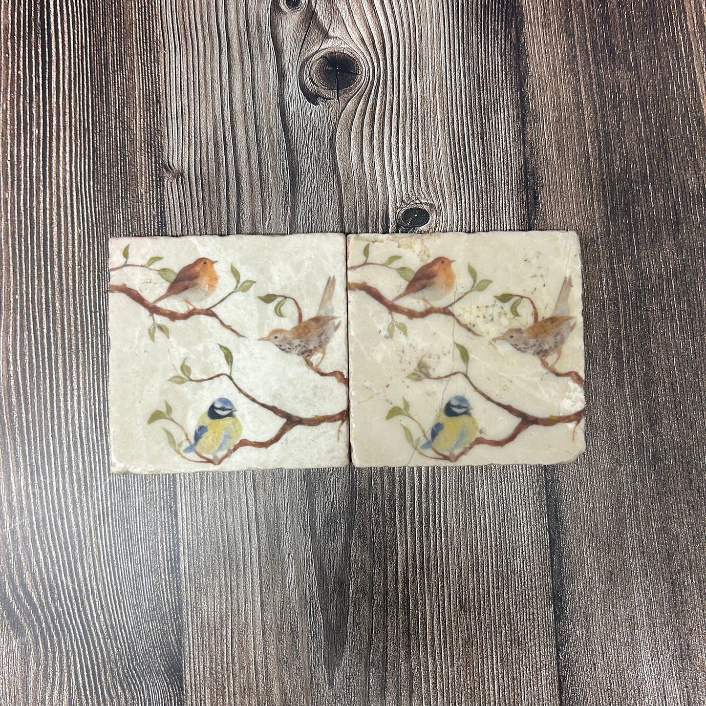 The Garden Gathering Coasters Set of 2 **Almost gone** SECONDS 3