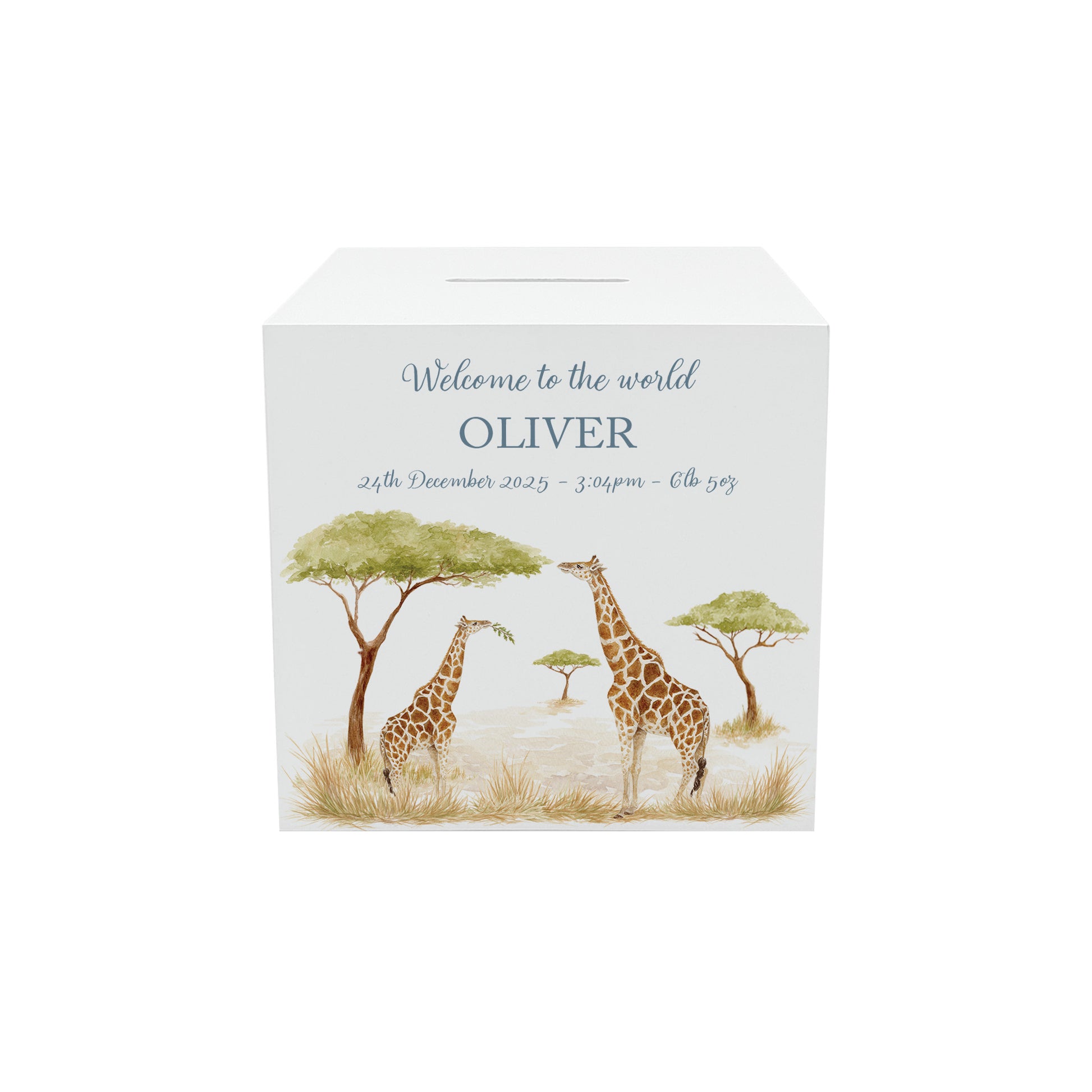 watercolour baby design money box handmade gift for newborn nursery Giraffe design, mummy and baby. 
