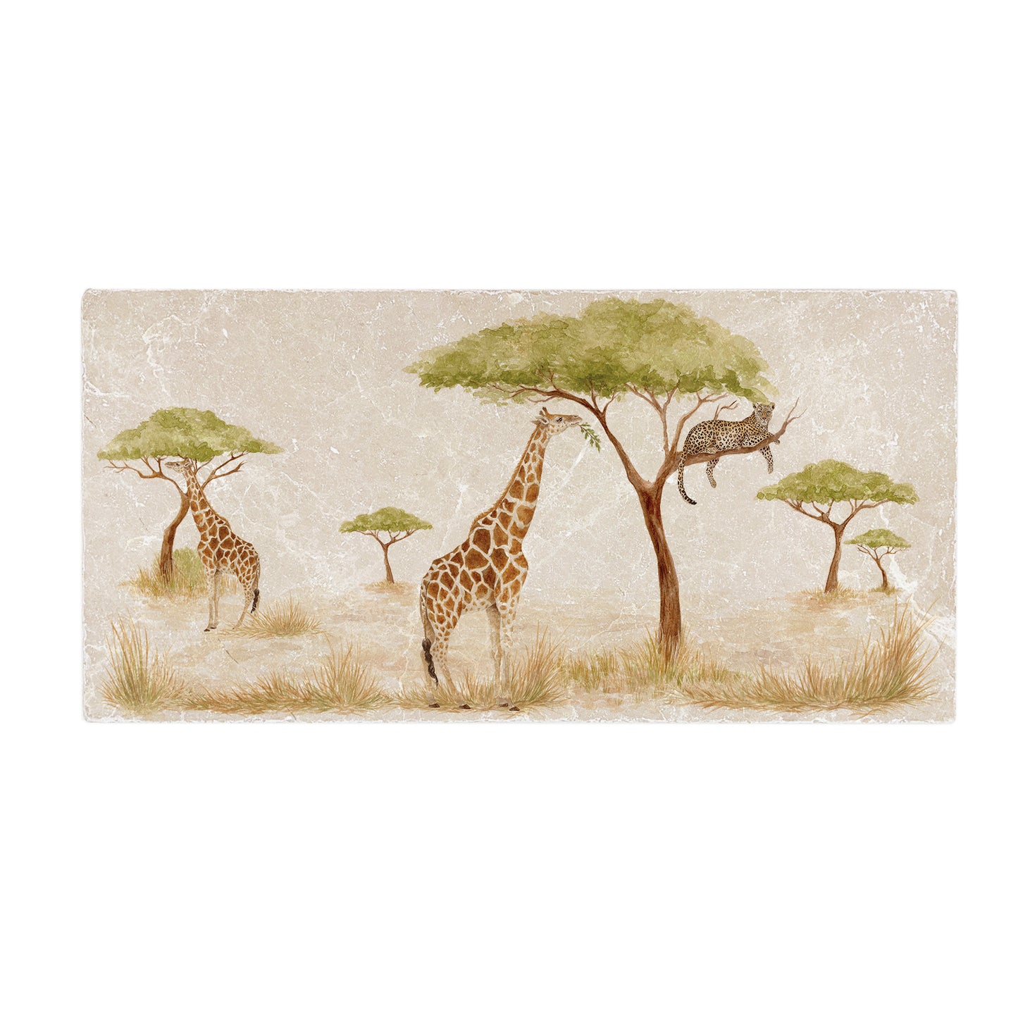 Watercolour Giraffe roaming the Savannah whilst the lazy Leopard rests in the tree. 
