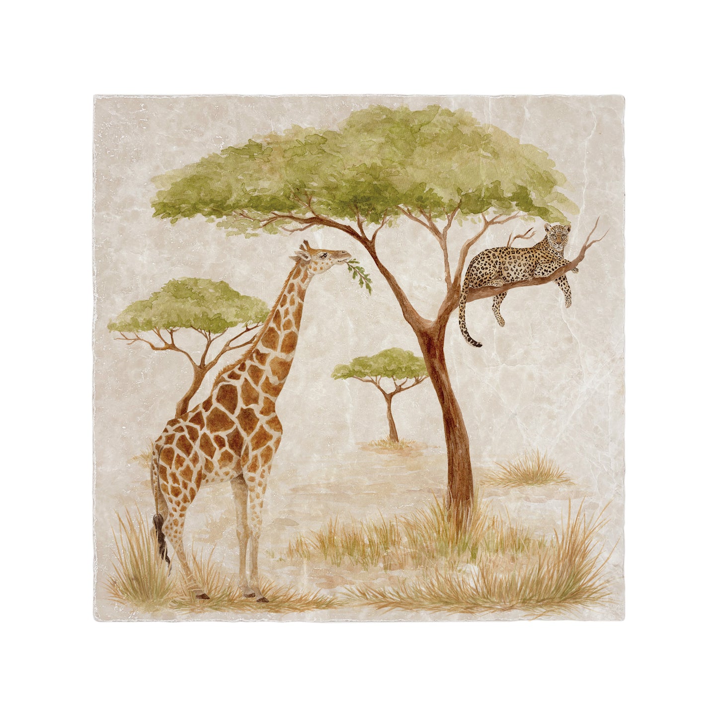 Watercolour Giraffe roaming the Savannah whilst the lazy Leopard rests in the tree. 