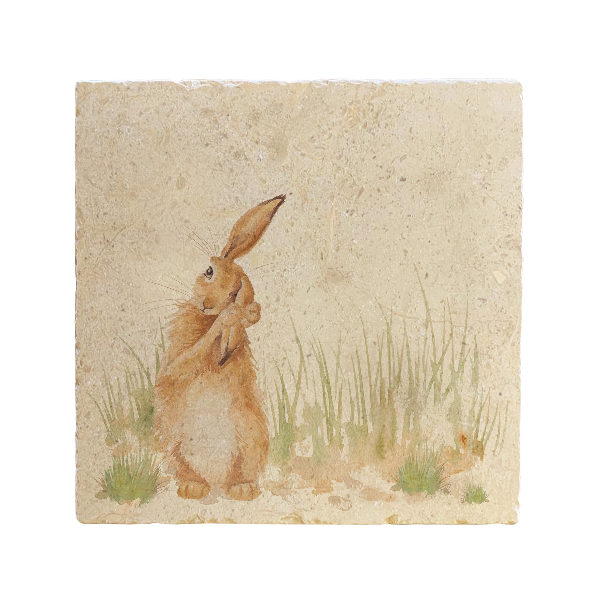 A handmade square cream marble splashback tile featuring a watercolour countryside animal design of a hare in grass cleaning his ear.