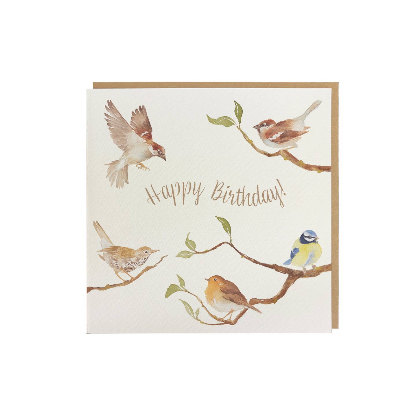 A greetings card reading Happy Birthday in brown text surrounded by garden birds on branches in a watercolour style. The card has a recyclable brown kraft envelope behind it.