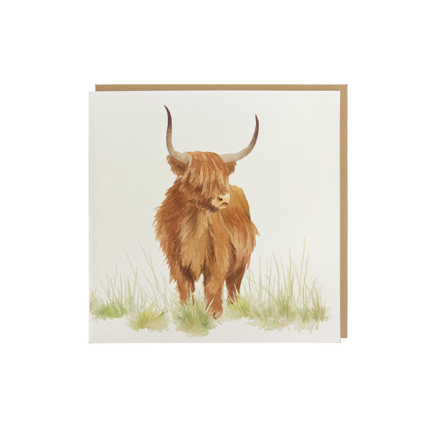 A greetings card featuring a highland cow in a watercolour style. The card has a recyclable brown kraft envelope behind it.