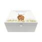 White Square personalised Wooden box with a decorative lid featuring illustrations of a highland cow in a field Perfect funeral memory keepsake box, for storing ashes, order of service, flowers and capturing your loved ones things in one place.