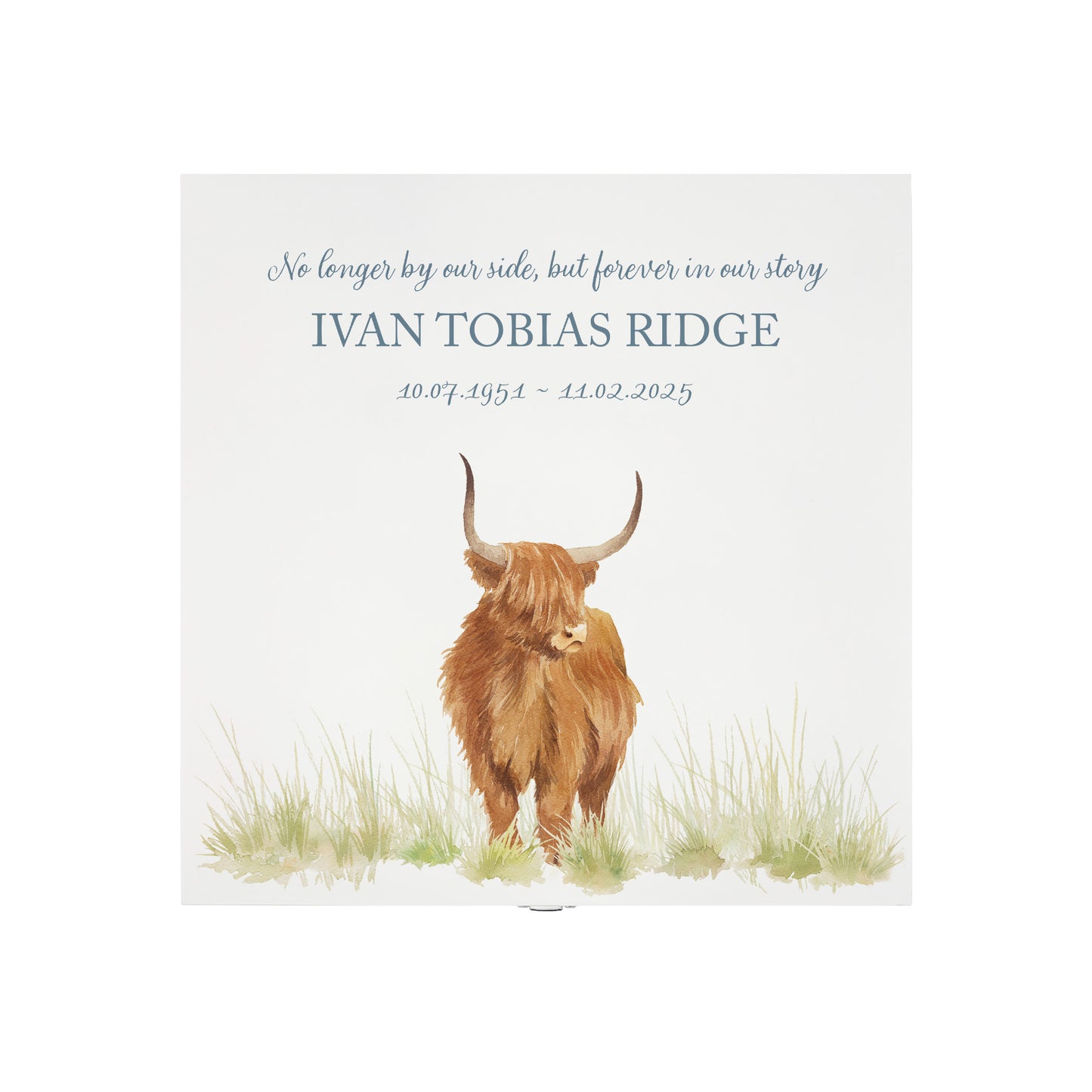 White Square personalised Wooden box with a decorative lid featuring illustrations of a highland cow in a field Perfect funeral memory keepsake box, for storing ashes, order of service, flowers and capturing your loved ones things in one place.