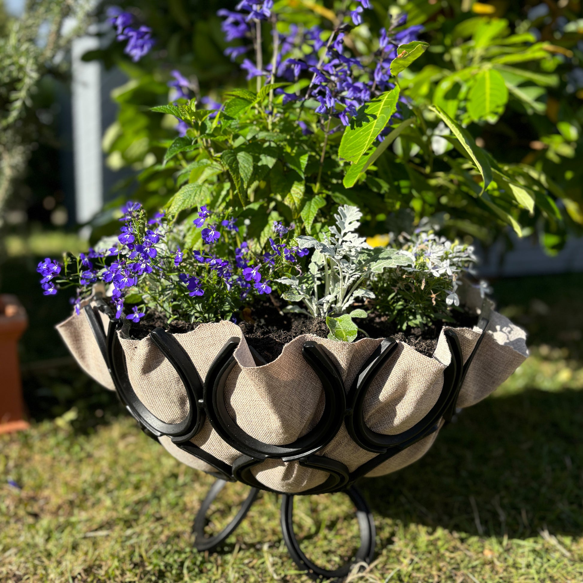 horseshoe plant hanger Recycled Horseshoe Planter DIY Kit