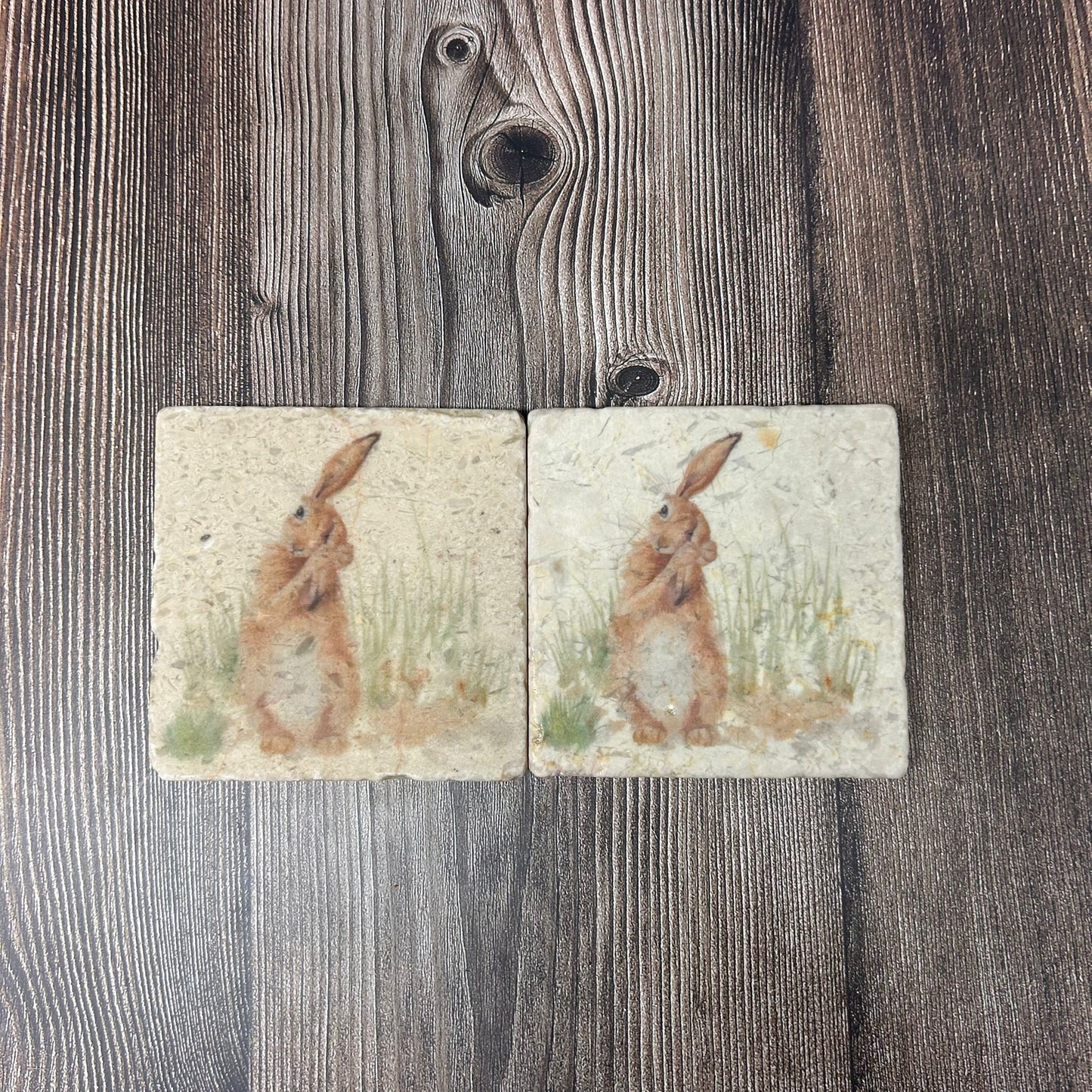 The Humble Hare Coasters Set of 2 **Ex-display** SECONDS 2