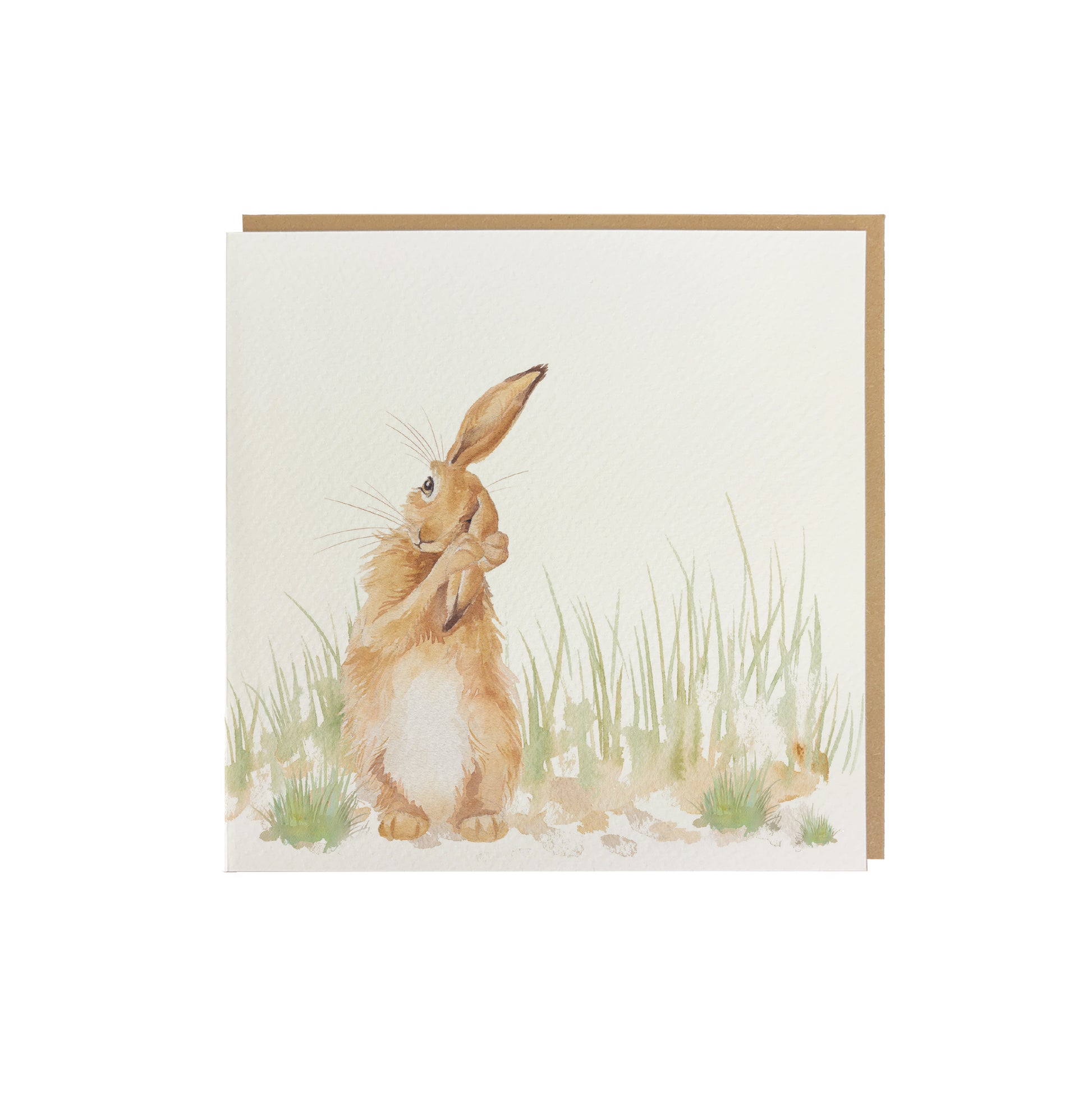 A greetings card featuring a hare washing his ear in a watercolour style.
