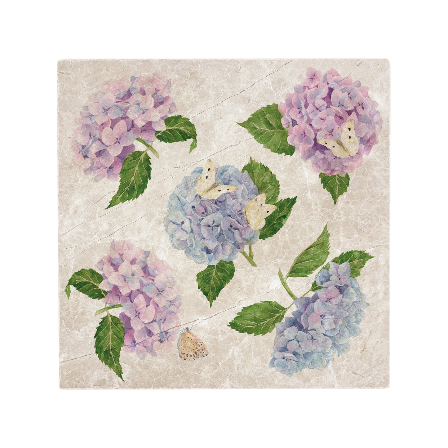 Watercolour Hydrangea flower, capturing the beautiful Blues and Pinks. So full and bright allowing white butterflies to land and rest.