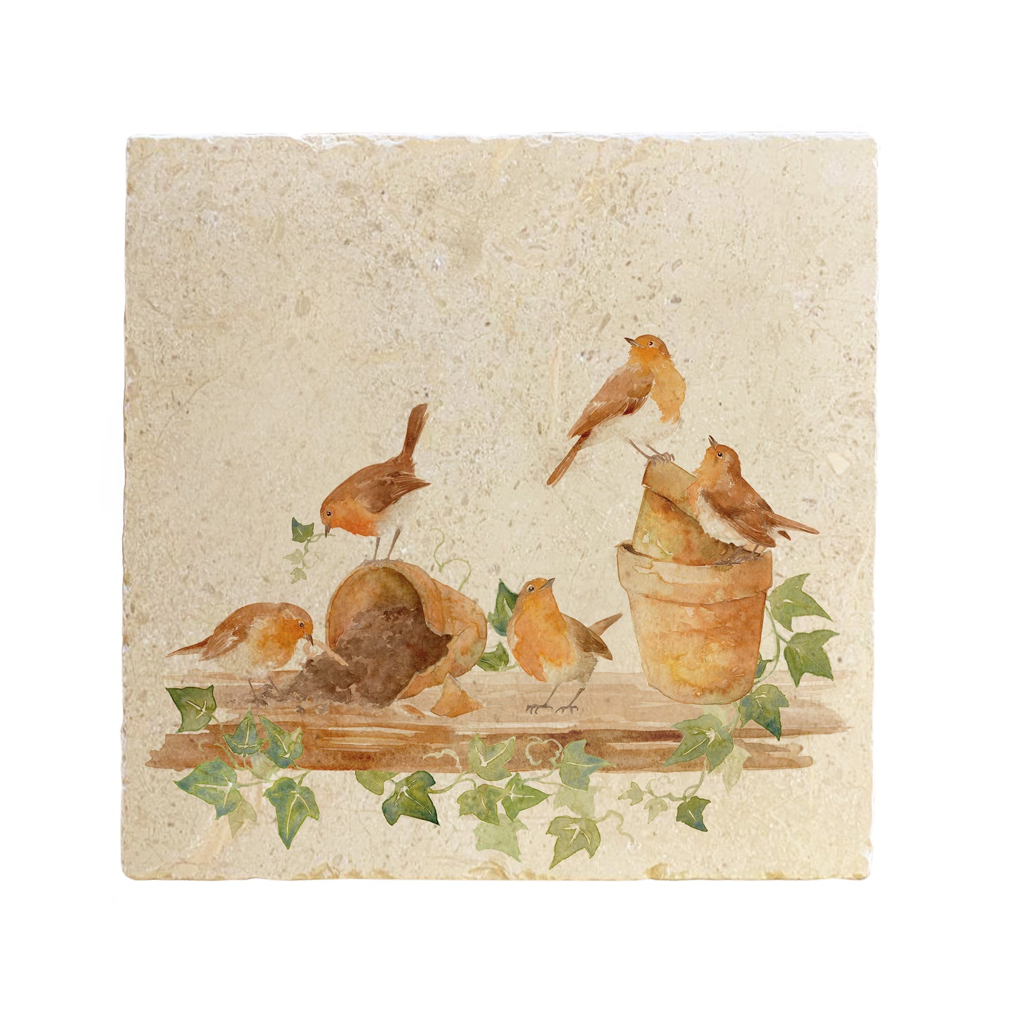 A large square marble placemat, featuring a watercolour robin design.