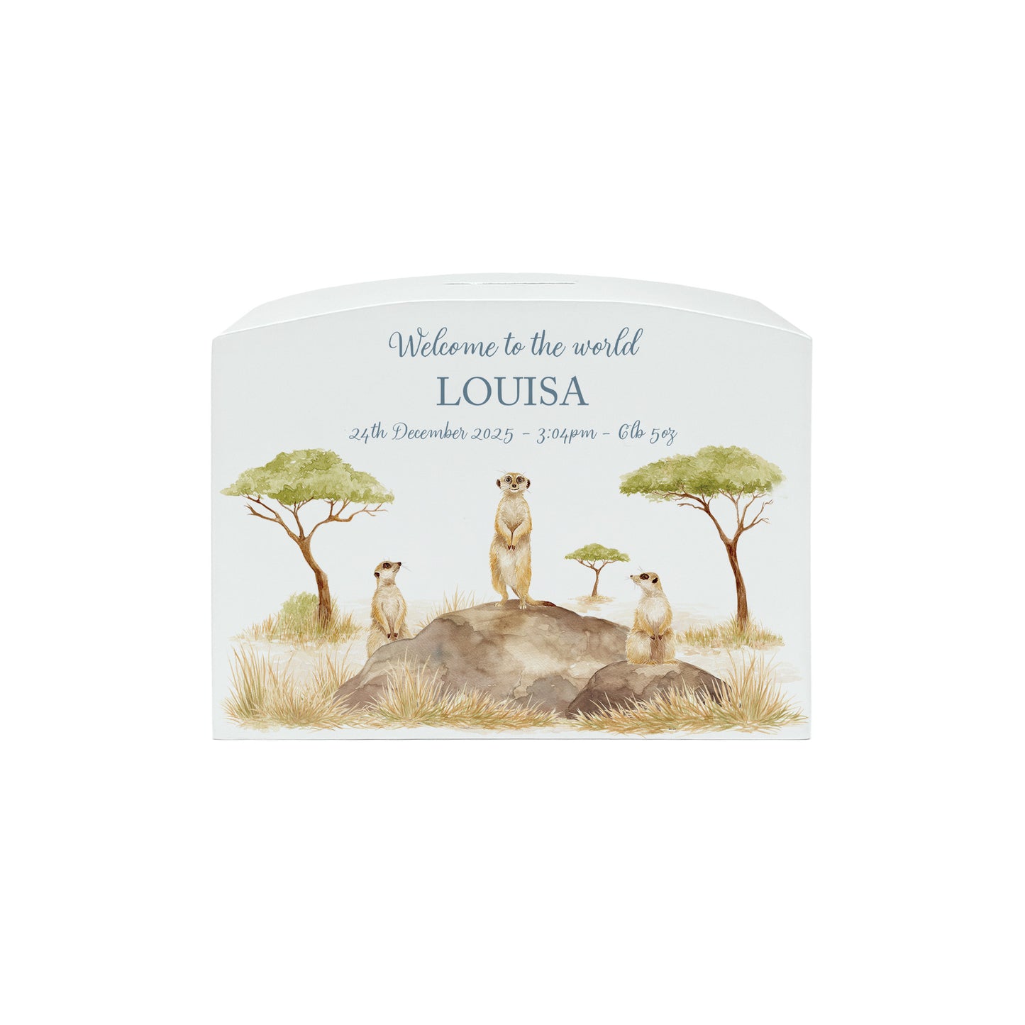 Meerkat Personalised money box, christening, birthday, new baby gift