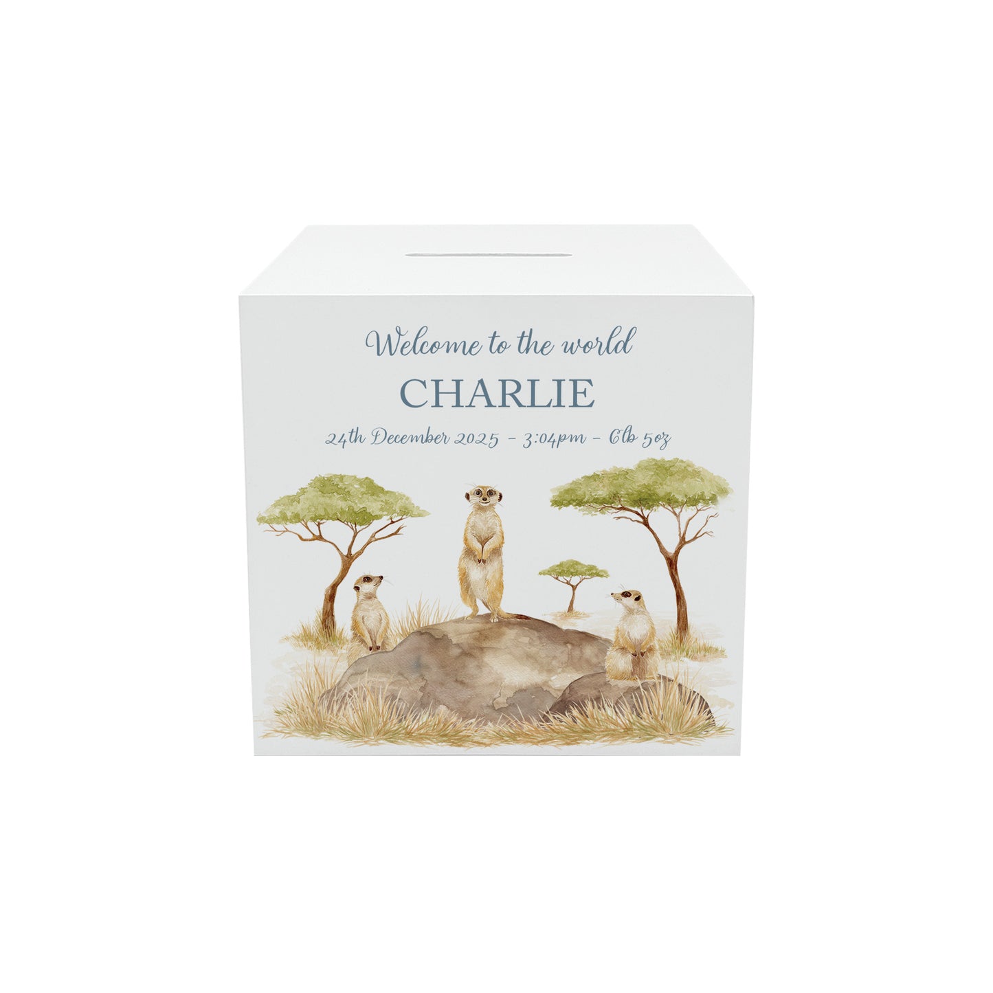 handmade wooden nursery money box with soft watercolour illustration, fun meerkat design 