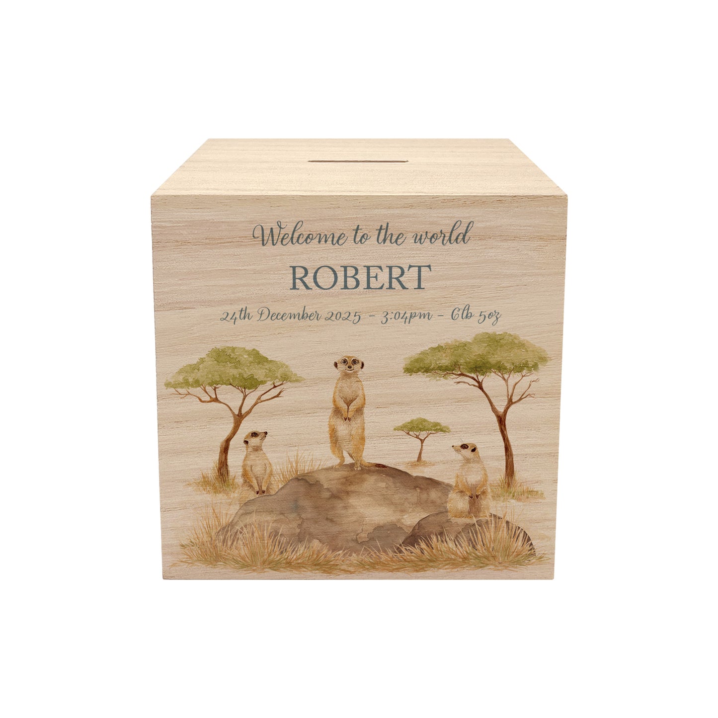 personalised handmade money box styled in nursery or childrens bedroom, This design features three happy meerkats sat on a rock. 