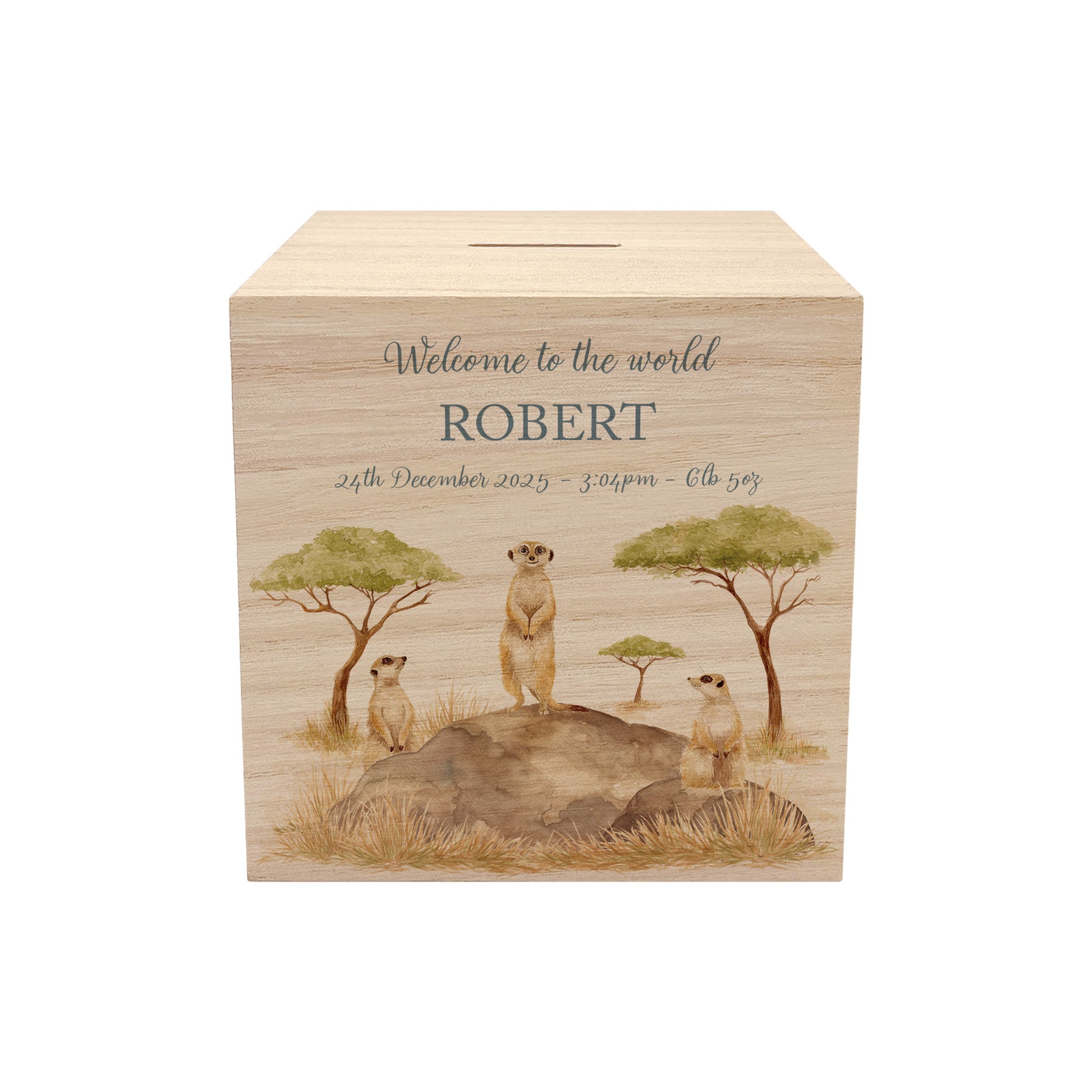 personalised handmade money box styled in nursery or childrens bedroom, This design features three happy meerkats sat on a rock. 
