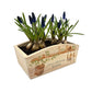 An arched wooden planter box with a watercolour design of mice climbing on tools and plant pots. The planter is an ideal gift for gardening enthusiasts, and can be personalised with a selection of phrases and custom names, dates and house number or name.