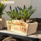 An arched wooden planter box full of spring bulbs. The planter box shows a watercolour design of mice causing mischief in the potting shed climbing tools and plant pots. The planter can be personalised with names and a selection of phrases to suit any occasion, including wedding, anniversary, engagement, birthday and new home.