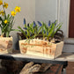 An arched wooden planter box full of spring bulbs. The planter box shows a watercolour design of mice causing mischief in the potting shed climbing tools and plant pots. The planter can be personalised with names and a selection of phrases, making it an ideal gift for any occasion.