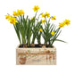 A rectangle wooden planter box with a watercolour design of mice up to mischief in the potting shed climbing the plant pots and tools. The planter can be personalised with a name and a selection of custom phrases. An ideal gift for birthdays, special occasions, weddings, keepsakes and more.