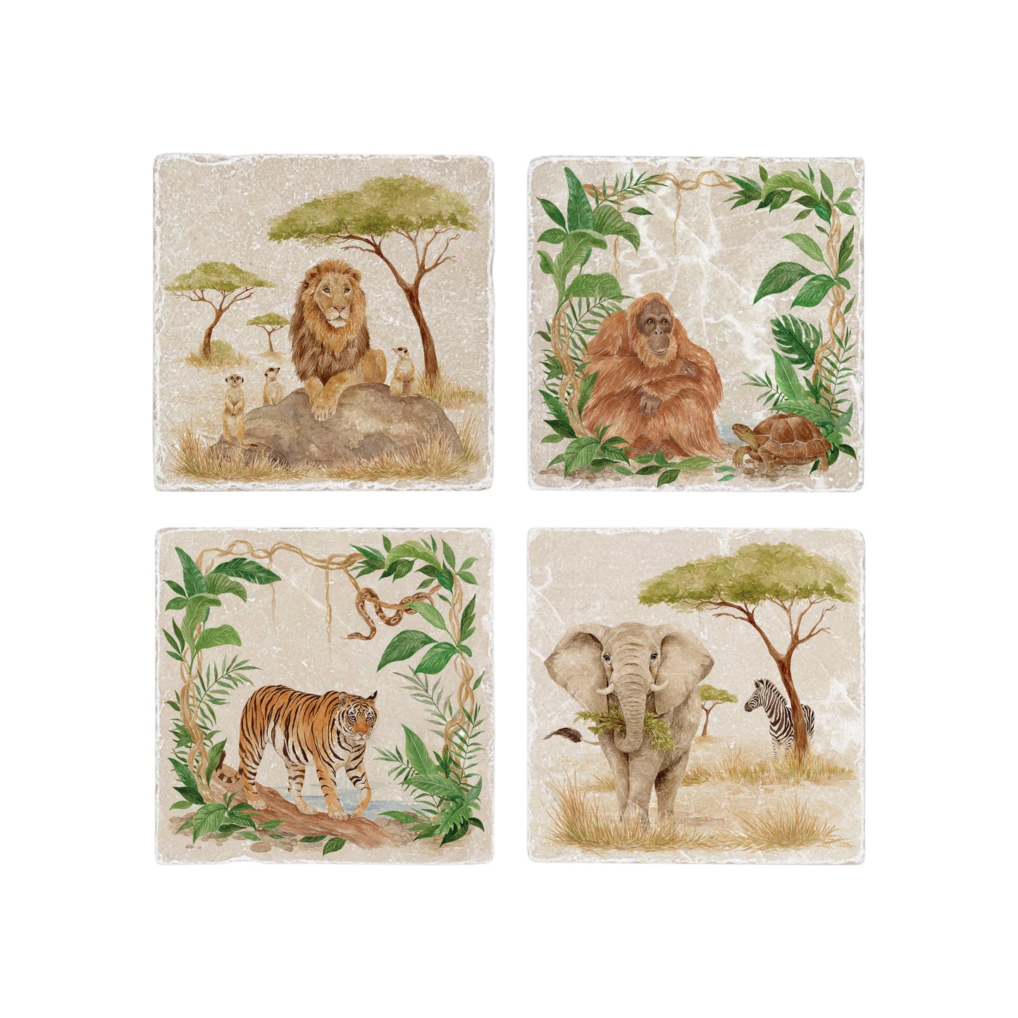 Set of four mix and match marble coasters with wild animal rainforest and savannah watercolour designs.