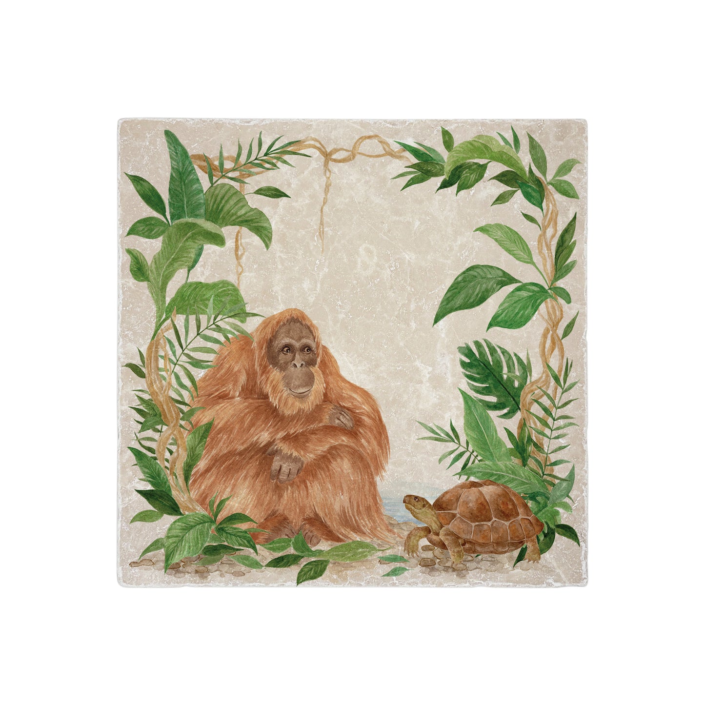 Our Gentle Orangutan sits quietly watching the world pass as slowly as her friend Tortoise. 