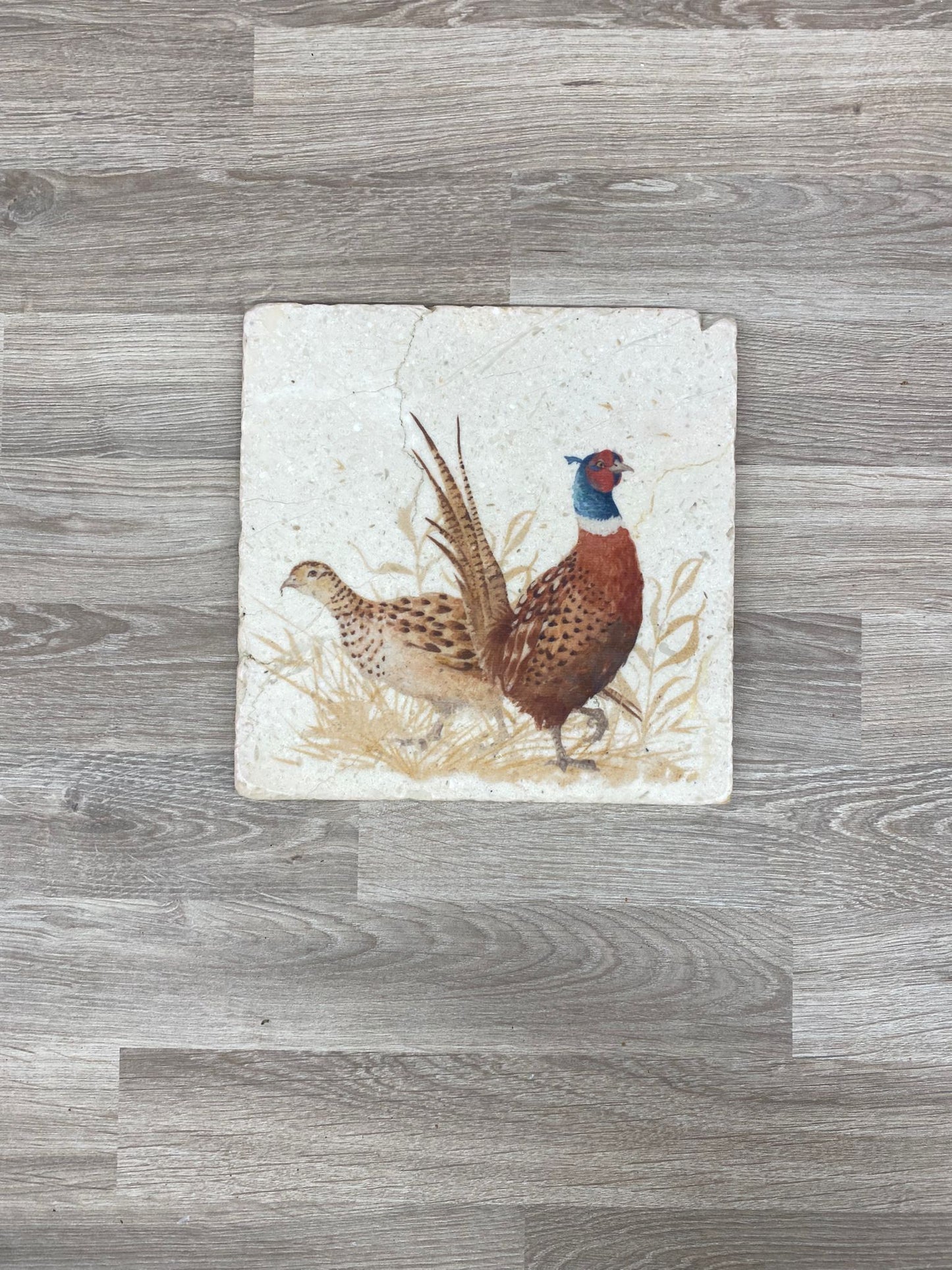 The Pheasant Parade Medium Platter **Exclusive offer** SECONDS 3